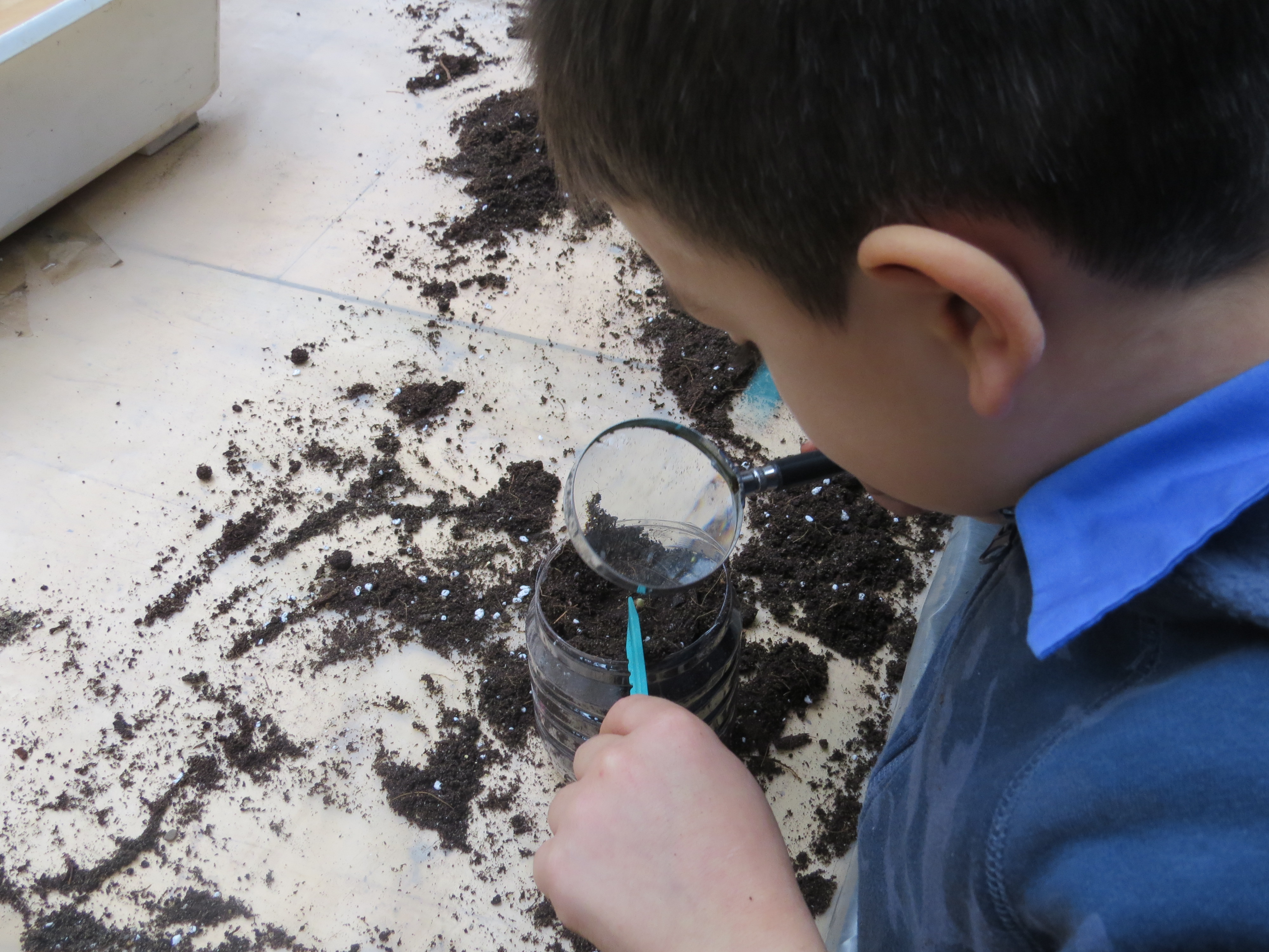 immagine di galleria 'GiocheriaLaboratori: le attività'