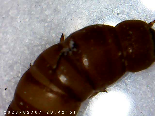 immagine di galleria