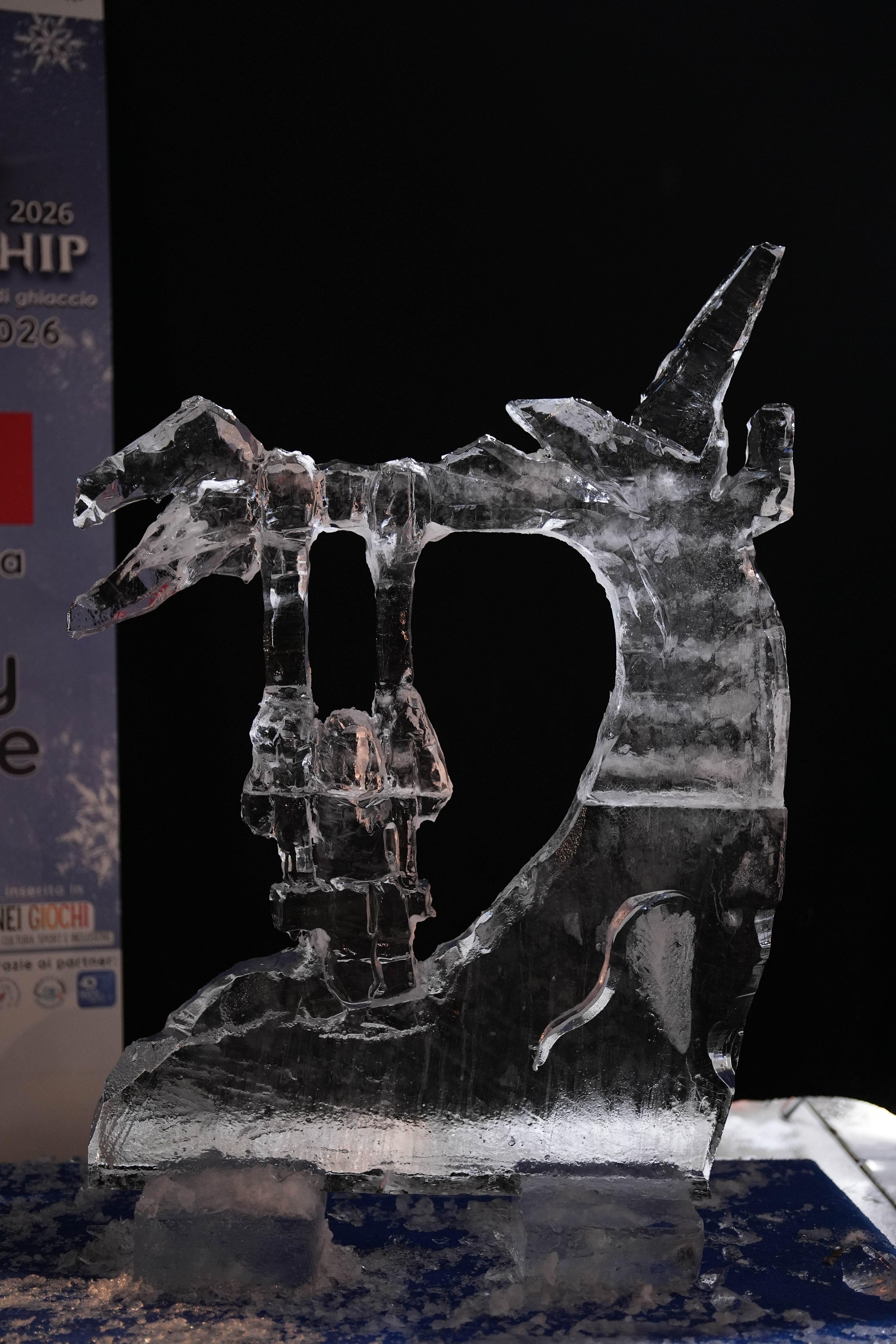 immagine di galleria 'Finale assoluta del Campionato “World Ice Art Championship”'