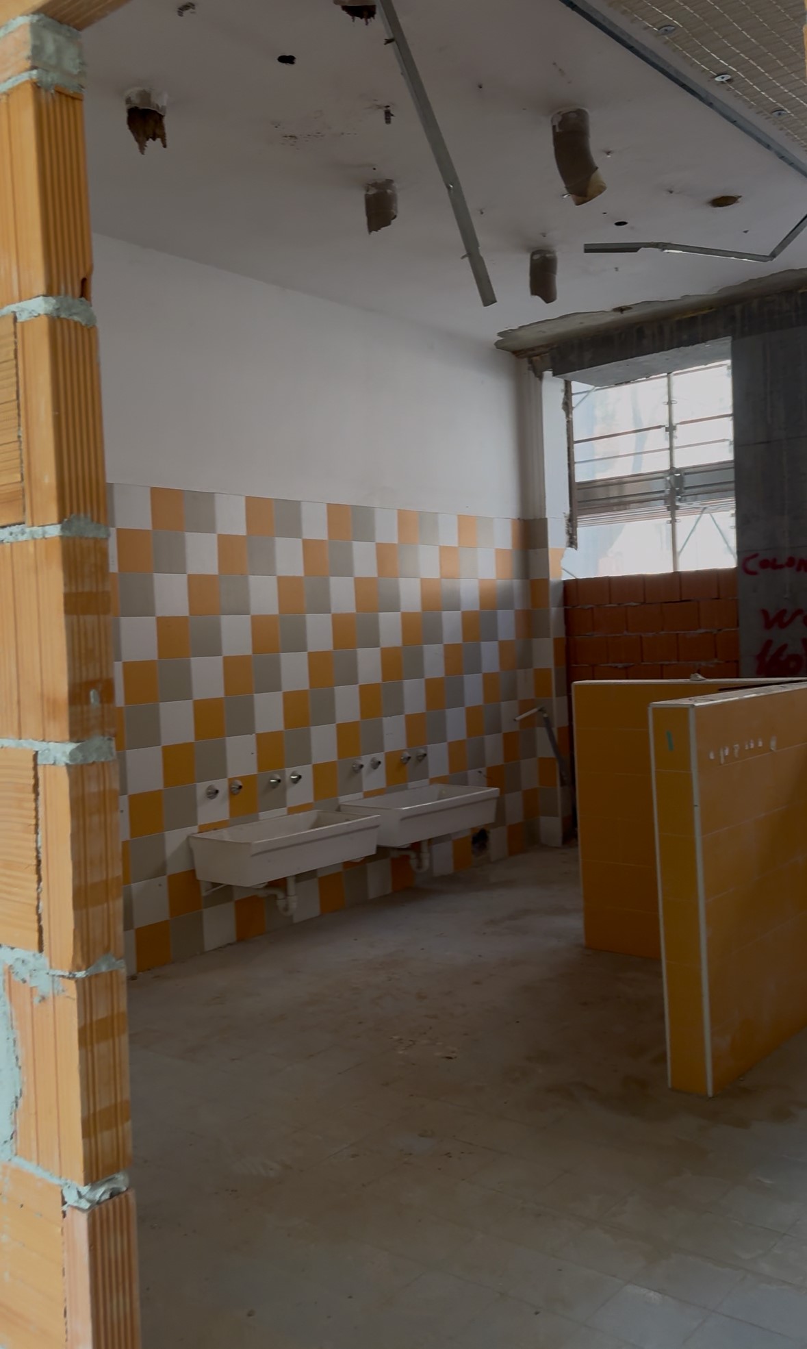 immagine di galleria