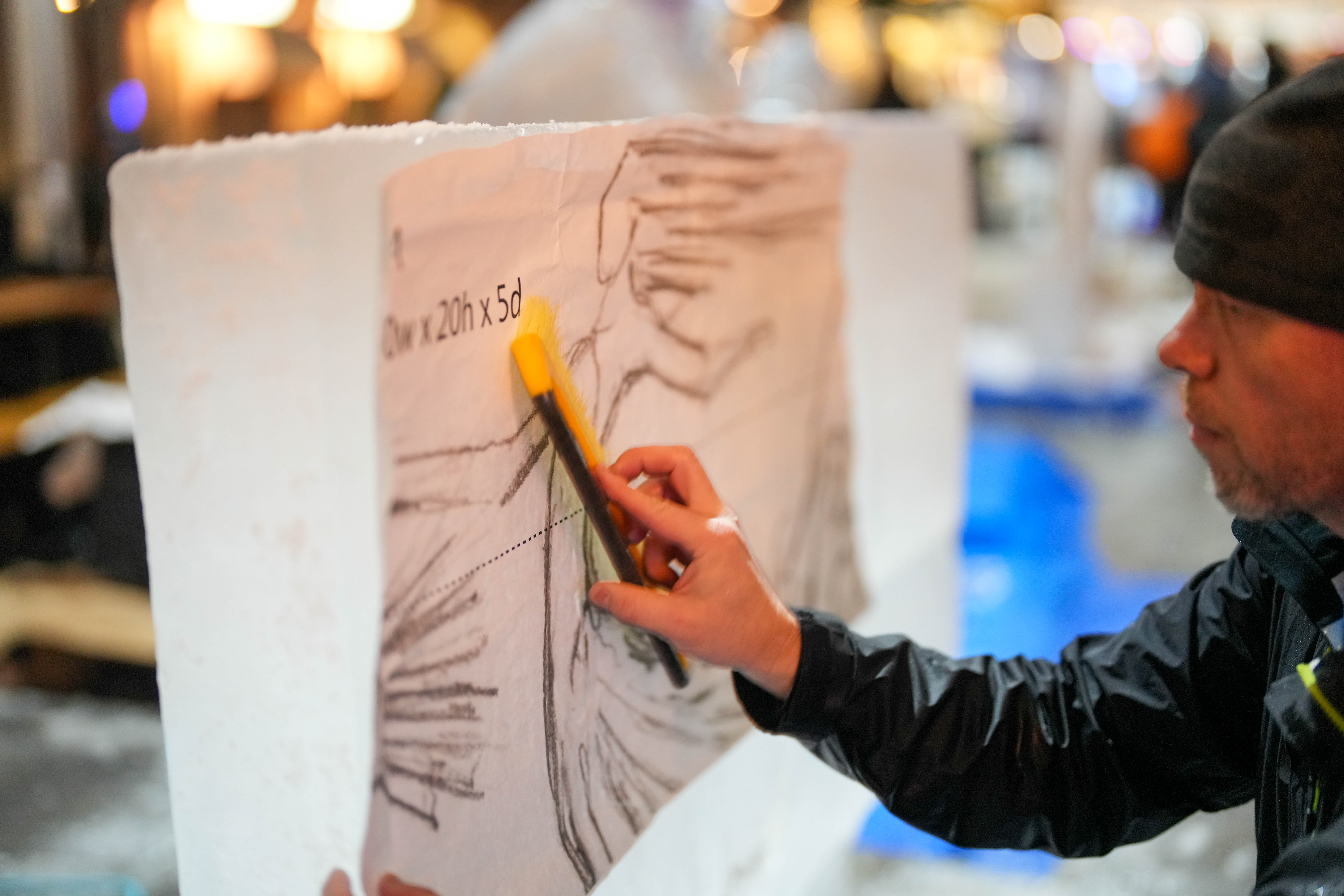 immagine di galleria 'World Ice Art Championship'