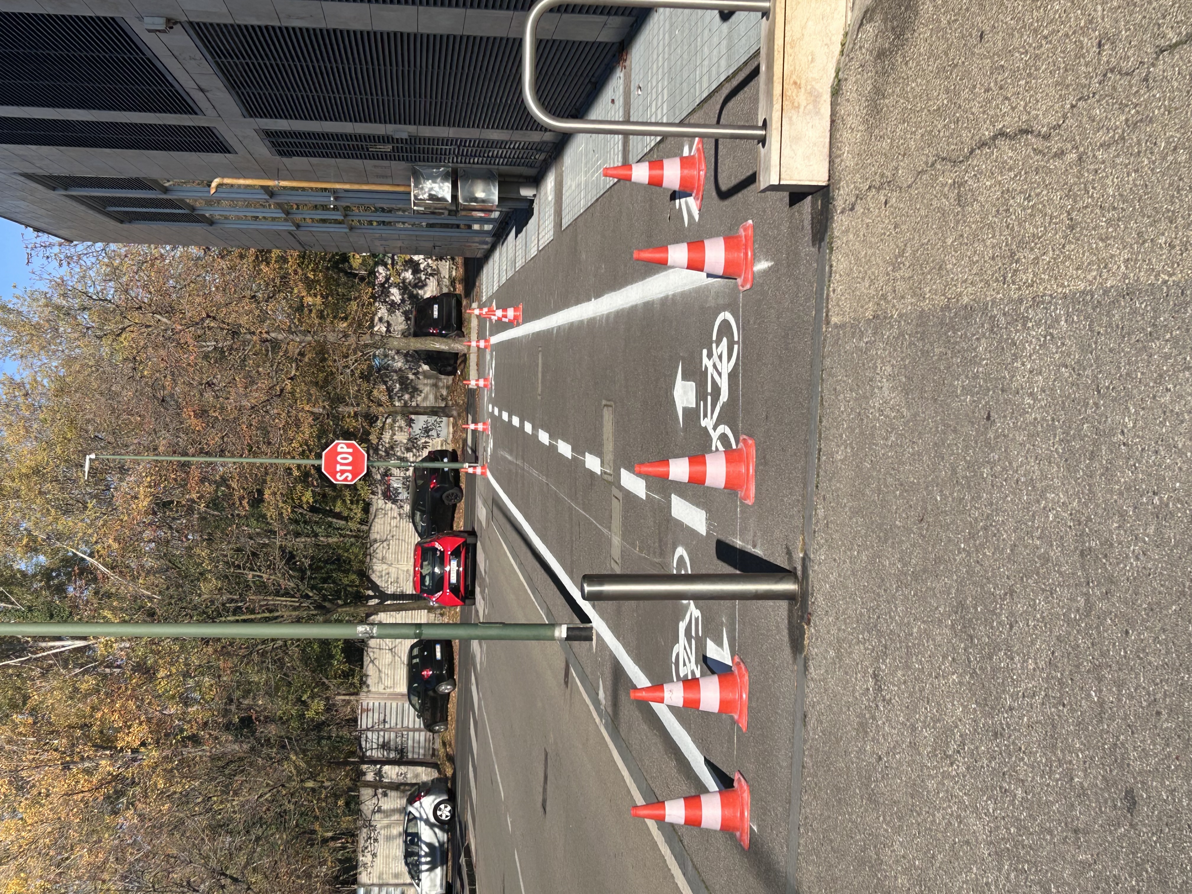 immagine di galleria 'Bicipolitana: la ciclabile di collegamento con il polo universitario di via Adamello'