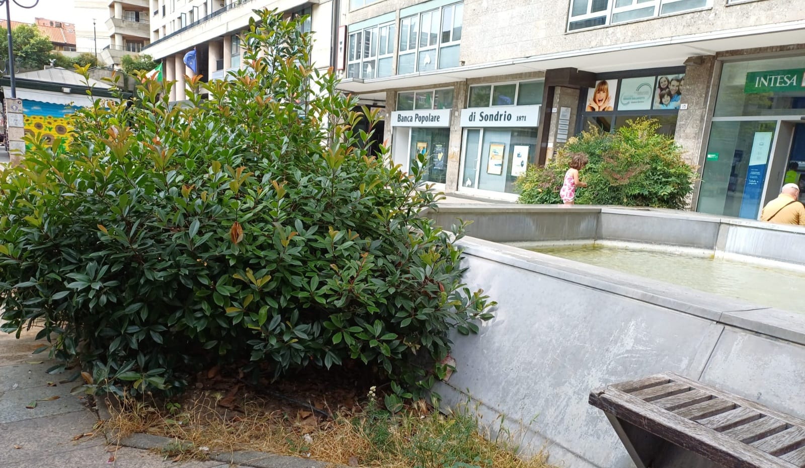 immagine di galleria