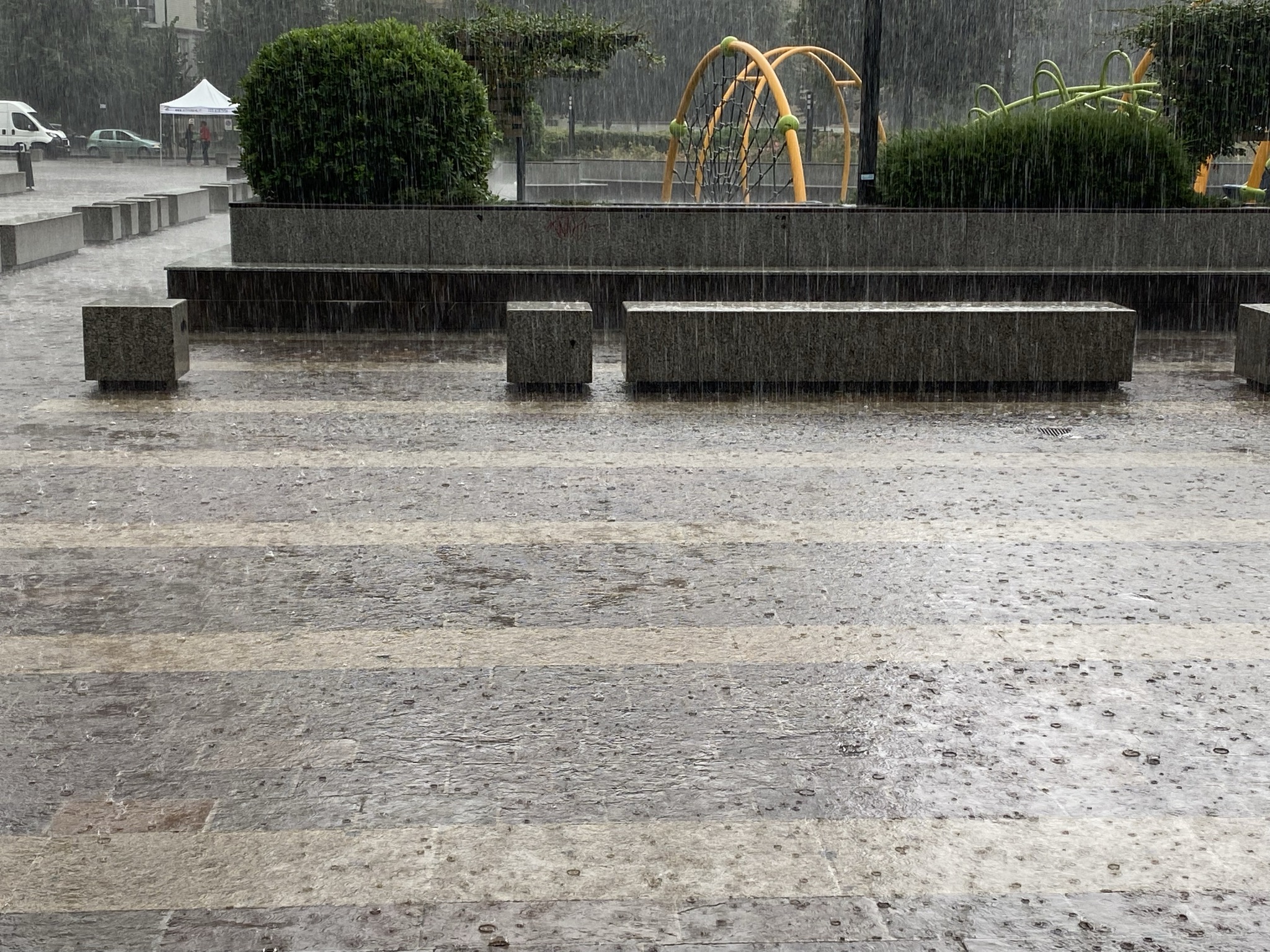 immagine di galleria