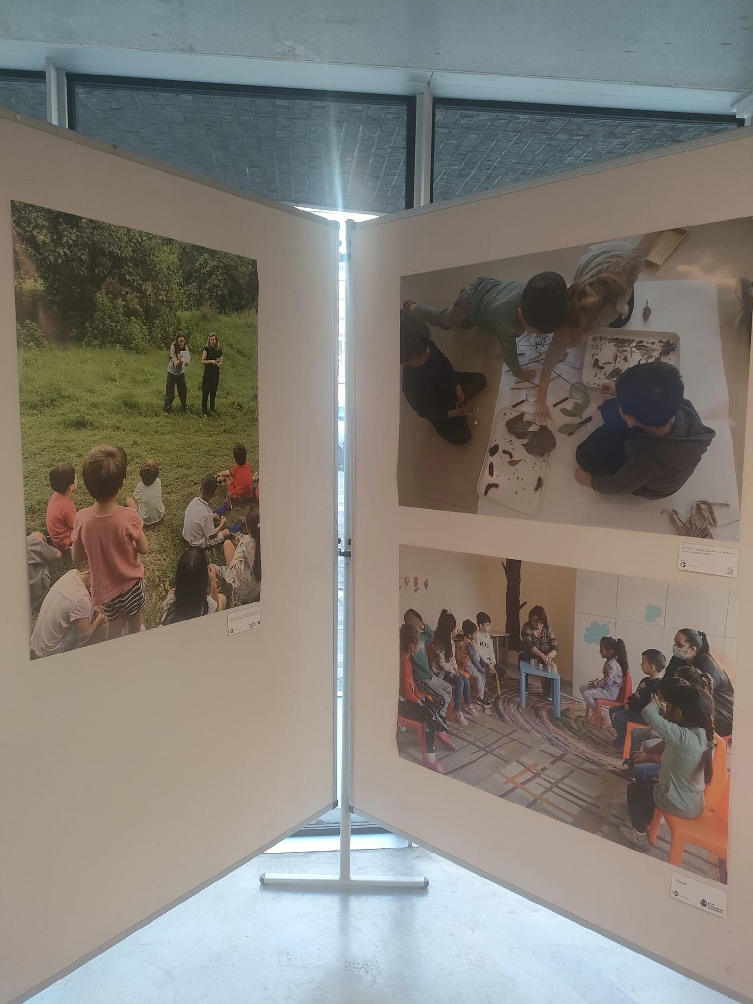 immagine di galleria 'C4S Communities for Sciences: le foto'