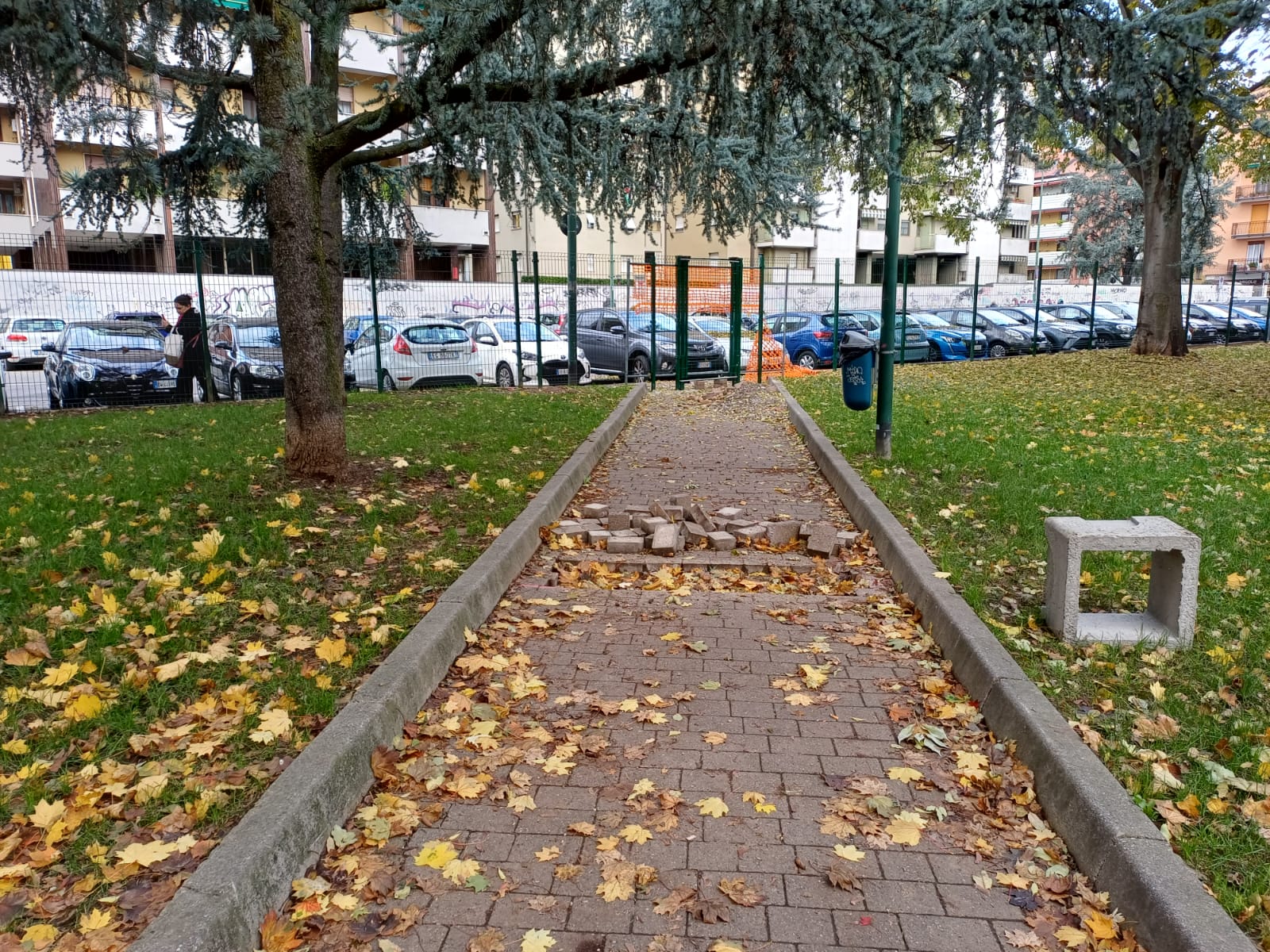 immagine di galleria