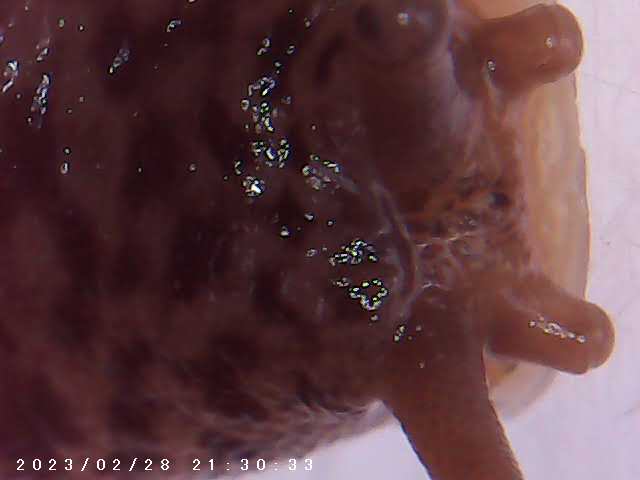 immagine di galleria