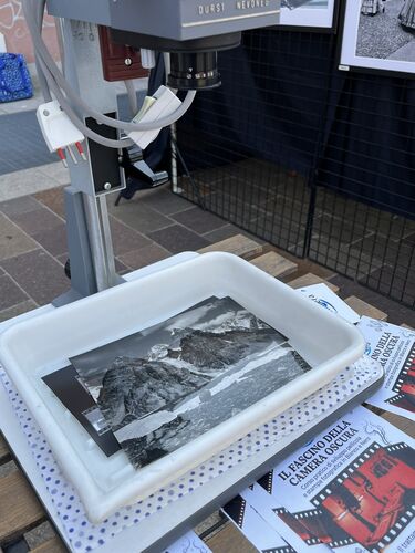 immagine di galleria 'Festa dello Sport, del Volontariato e della Salute 2026'