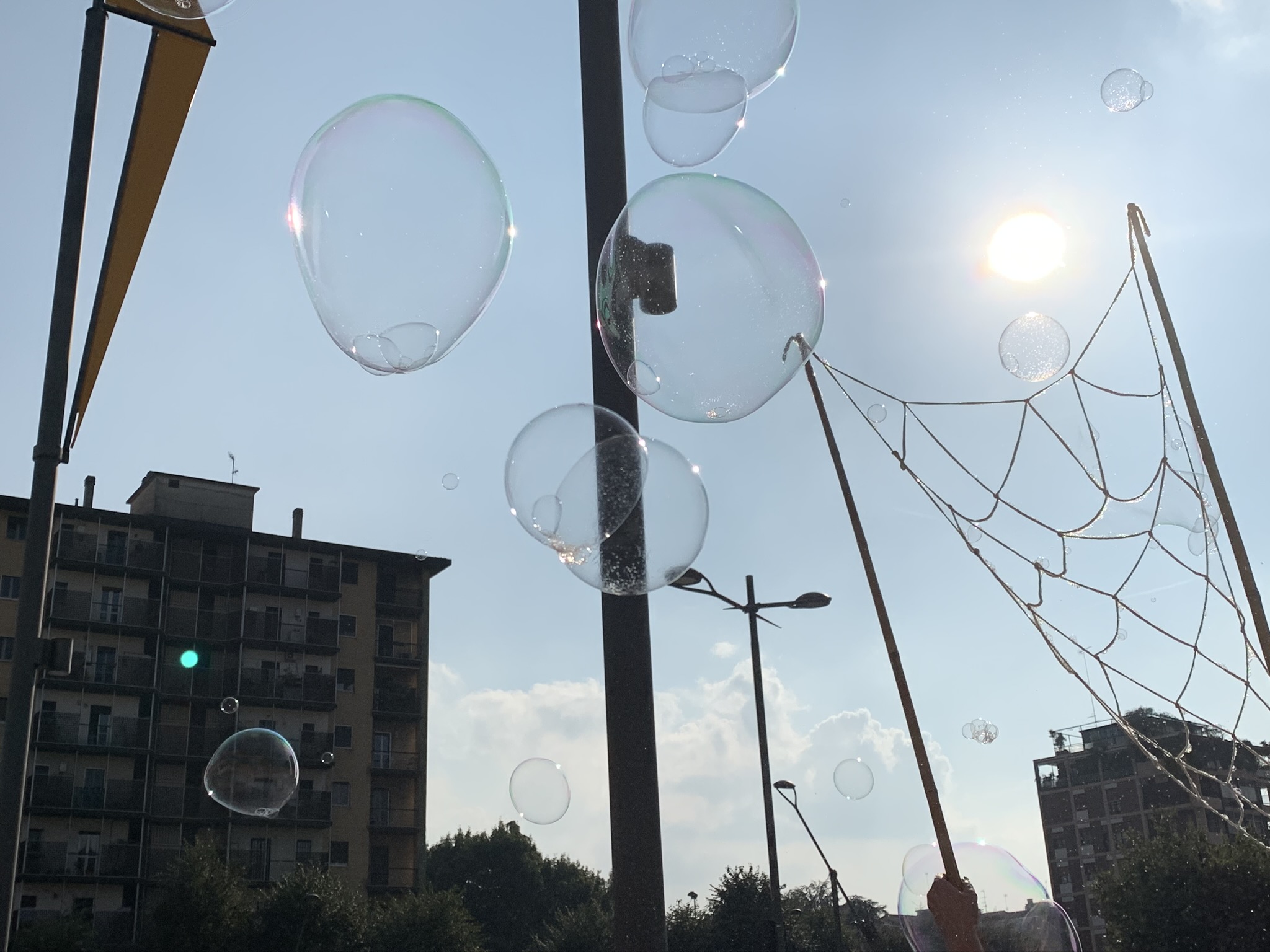 immagine di galleria