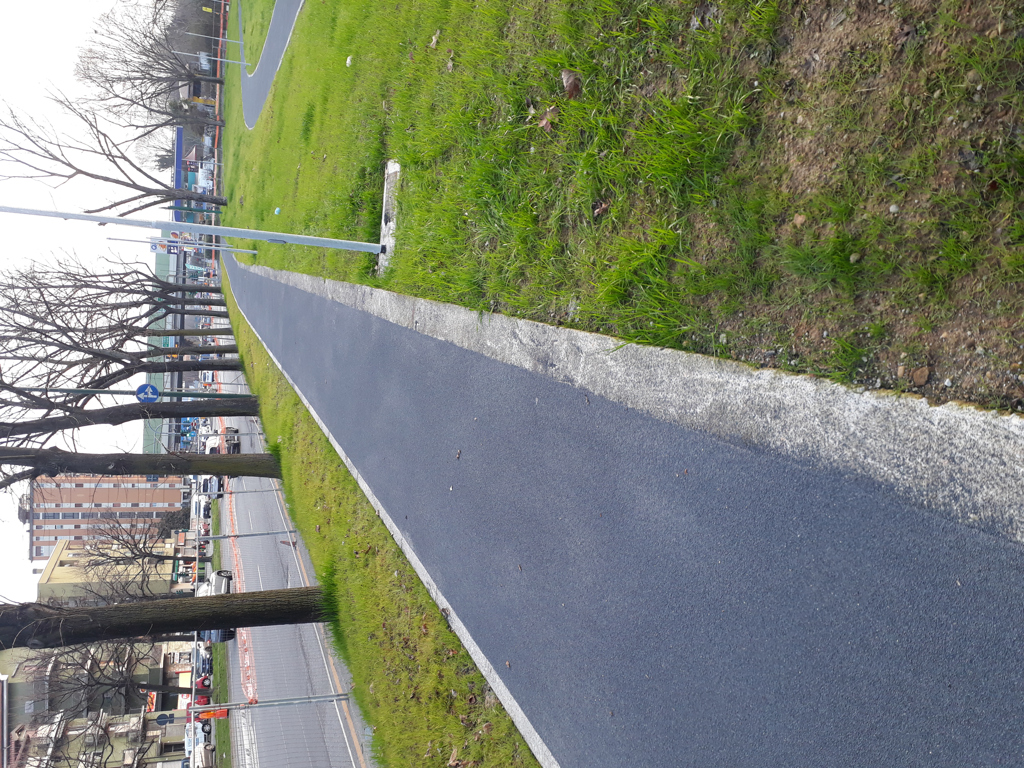 immagine di galleria