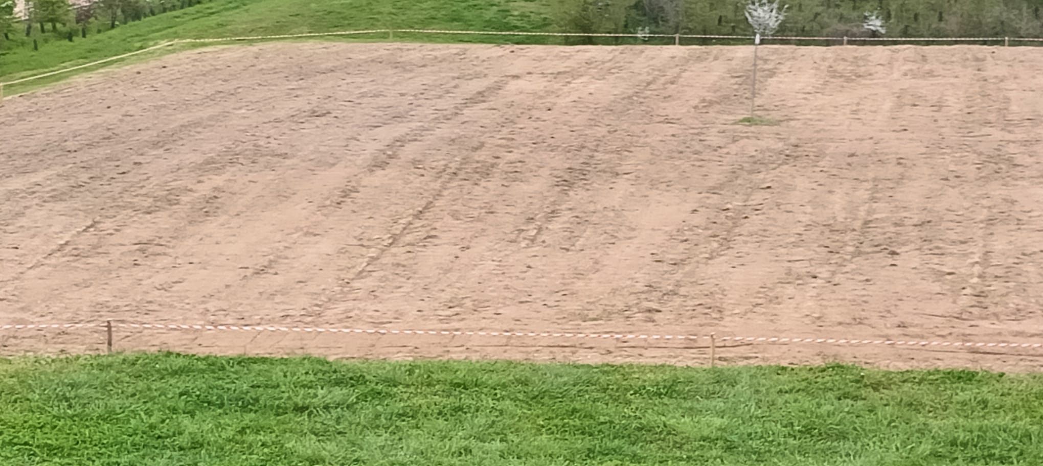 immagine di galleria