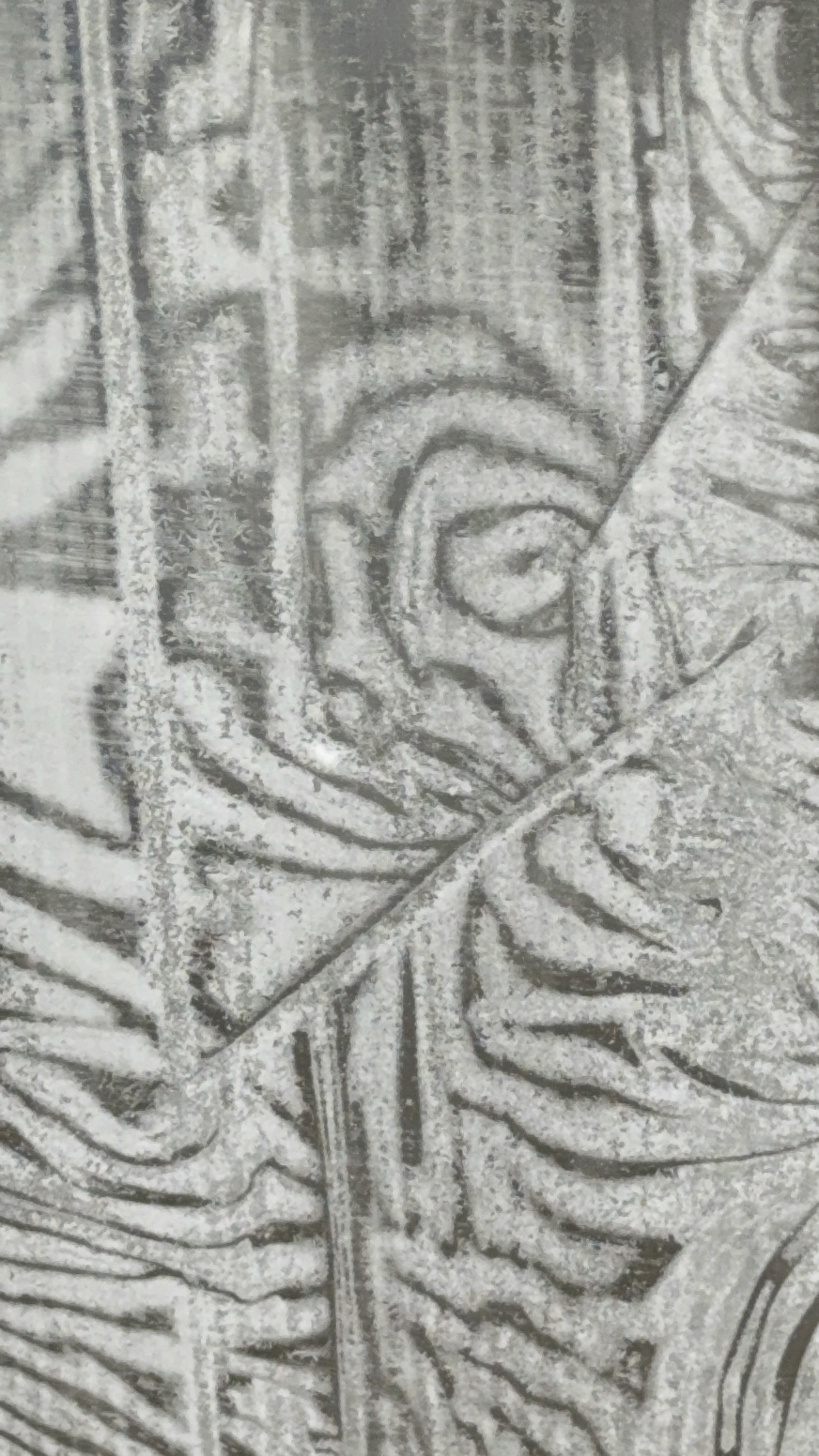 immagine di galleria 'Finale assoluta del Campionato “World Ice Art Championship”'