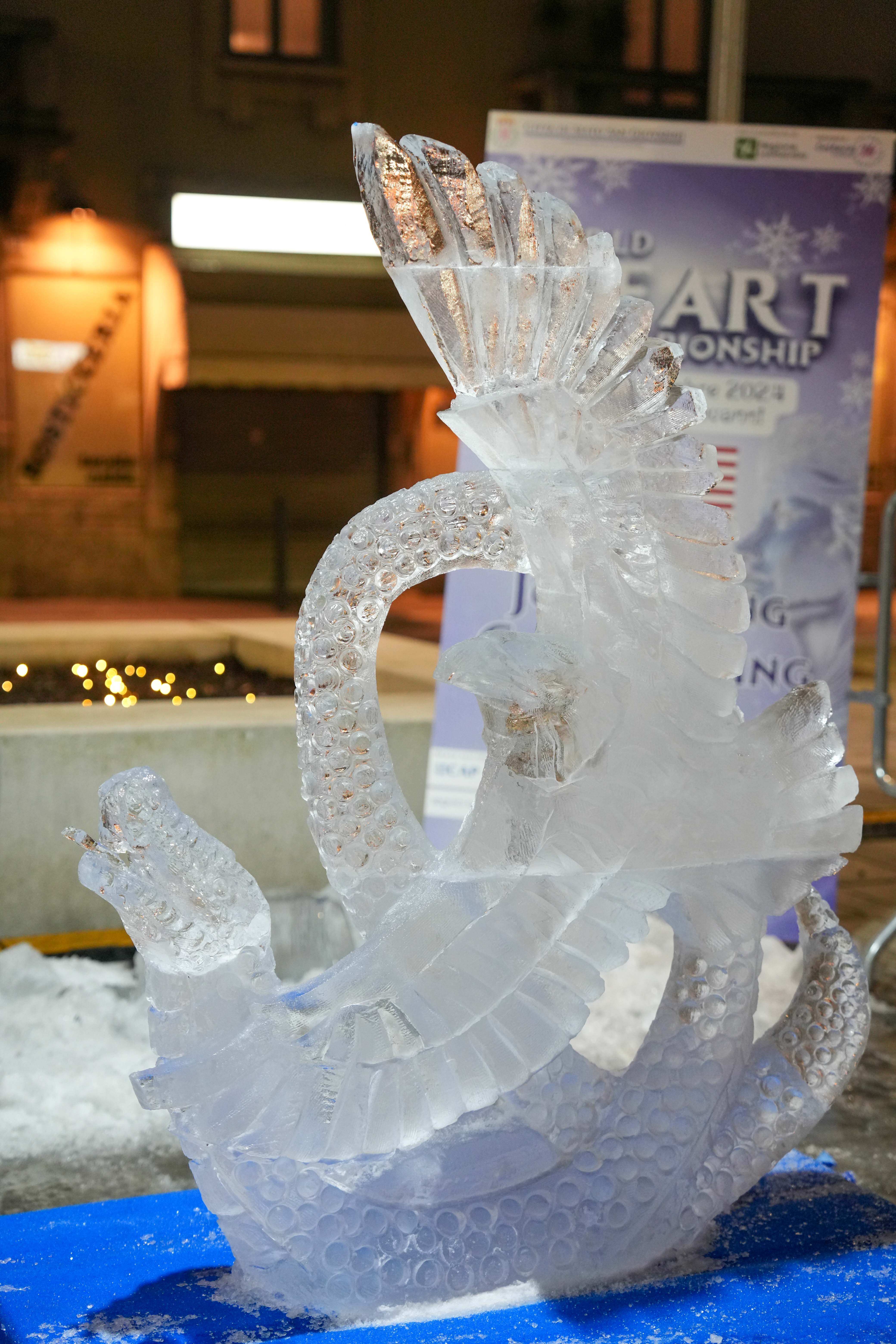 immagine di galleria 'World Ice Art Championship'