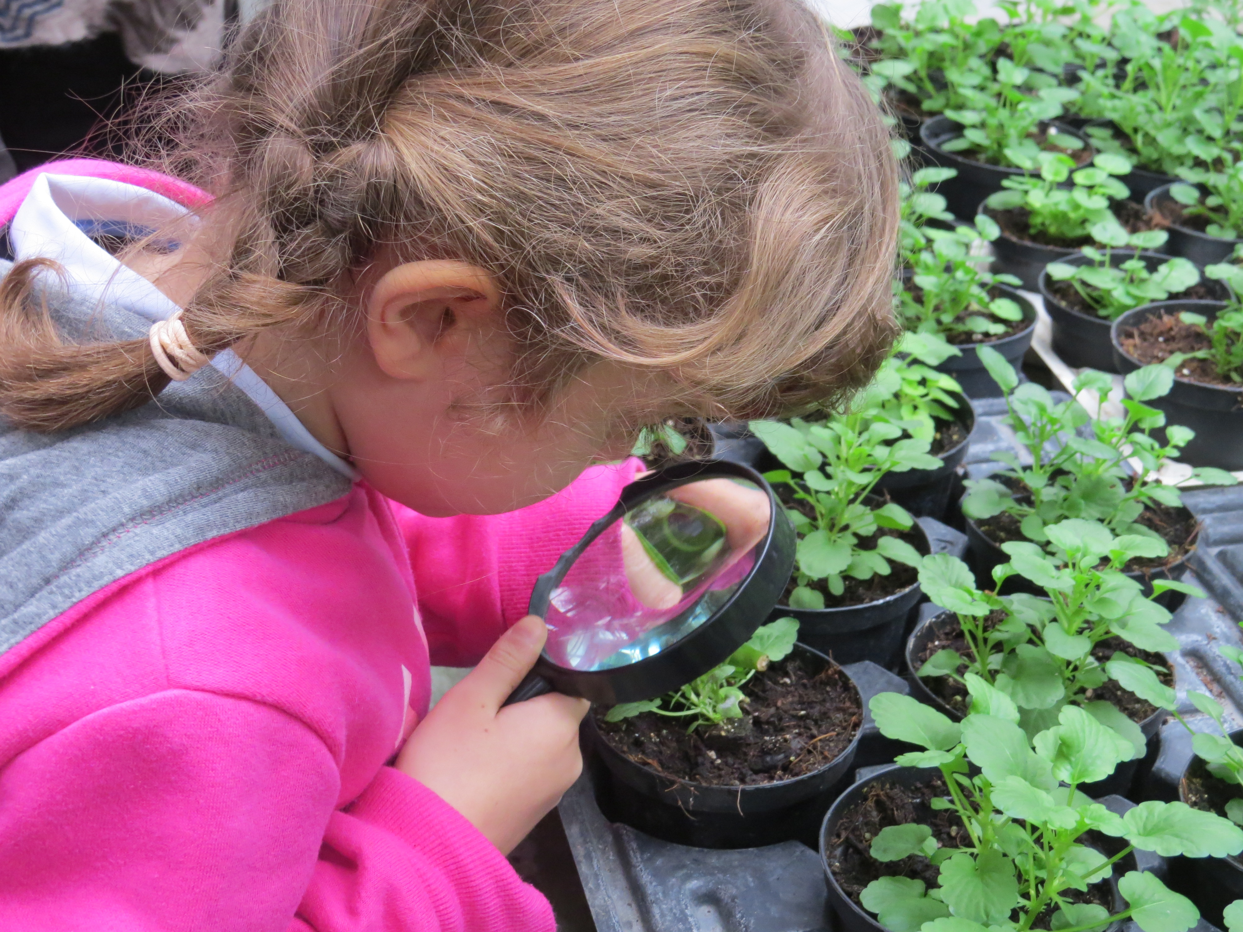 immagine di galleria