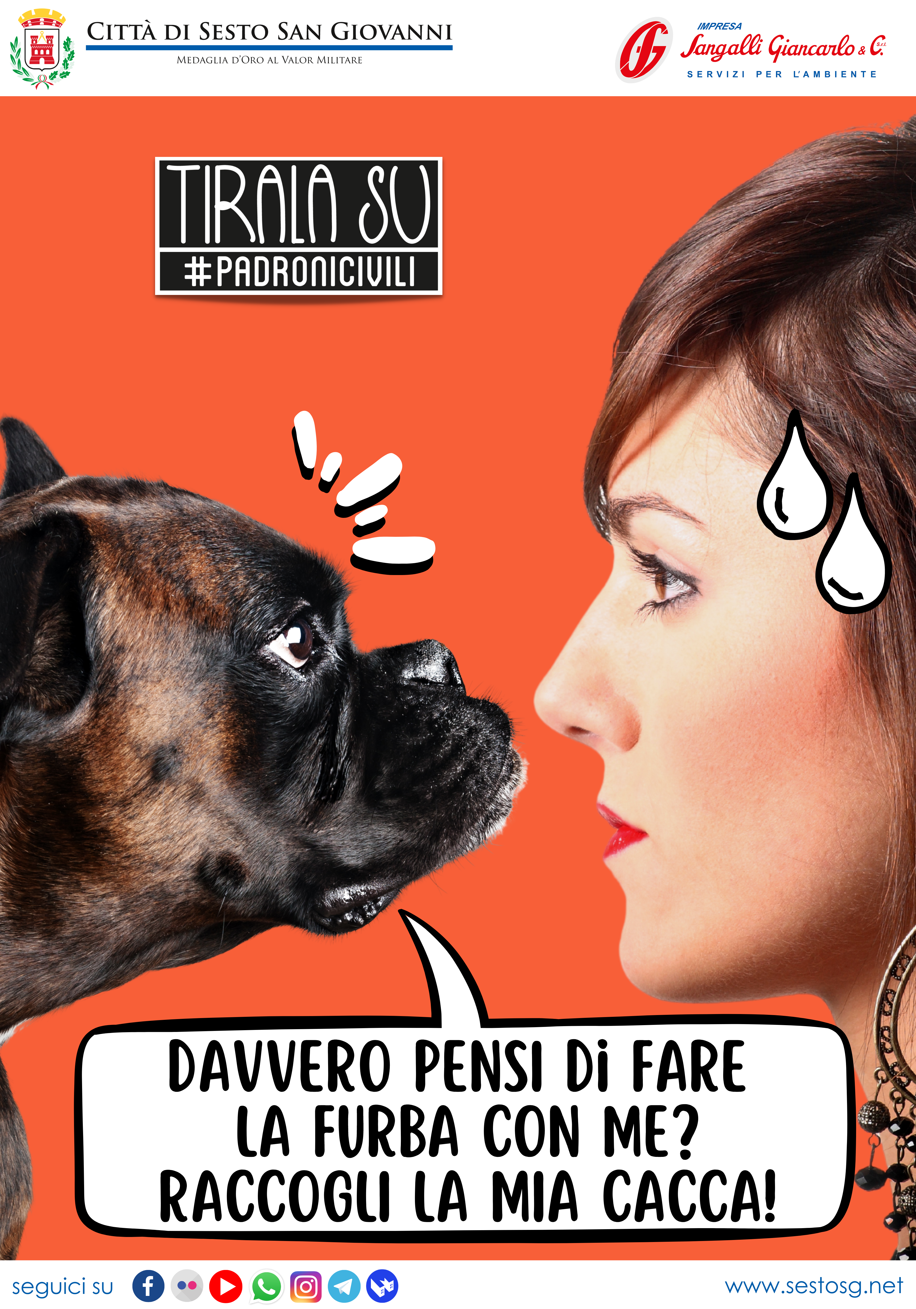 immagine di galleria