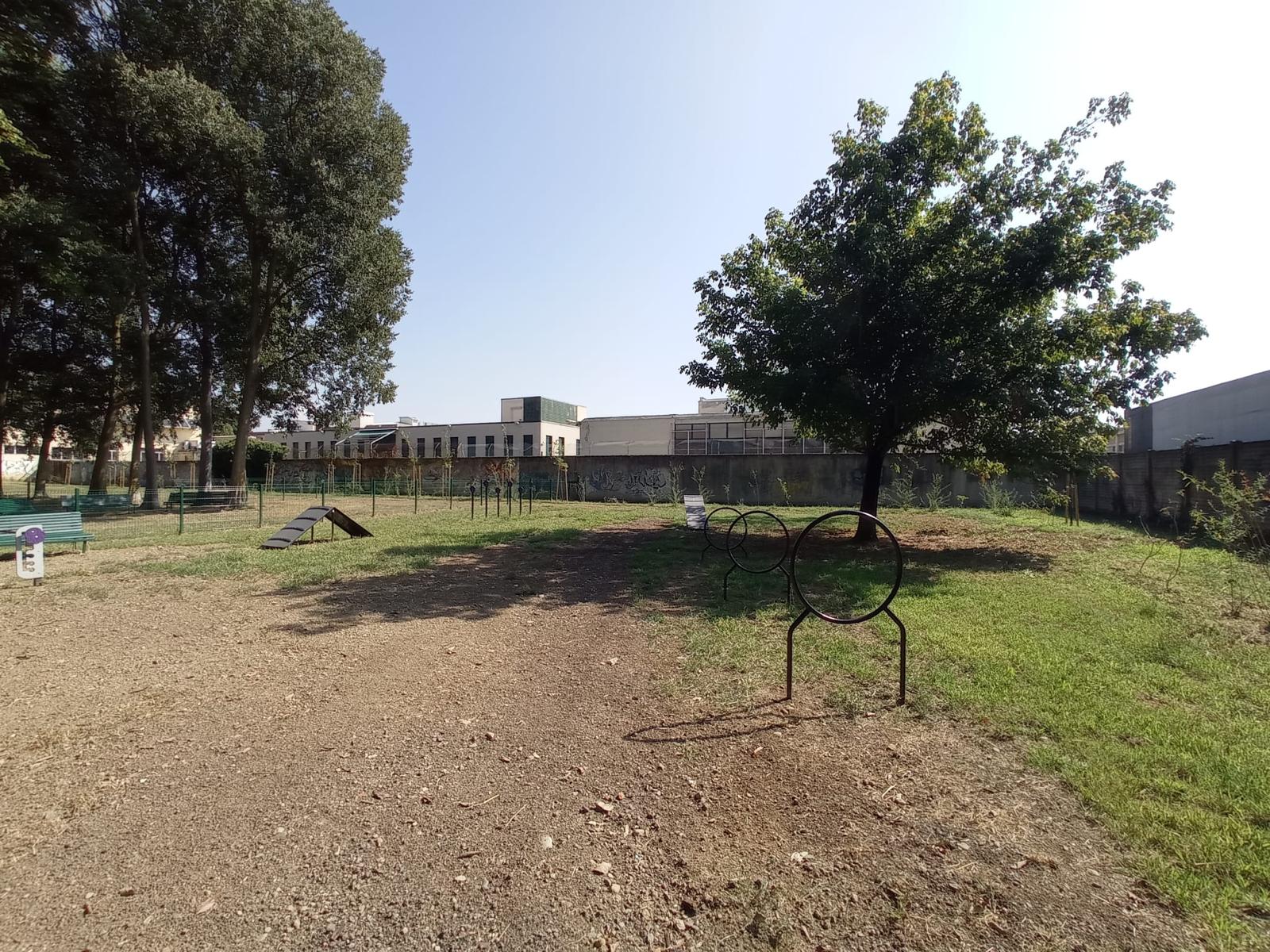 immagine di galleria