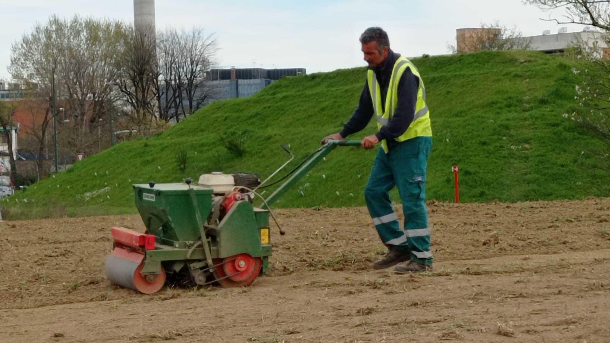 immagine di galleria 'Prato fiorito alla Bergamella'