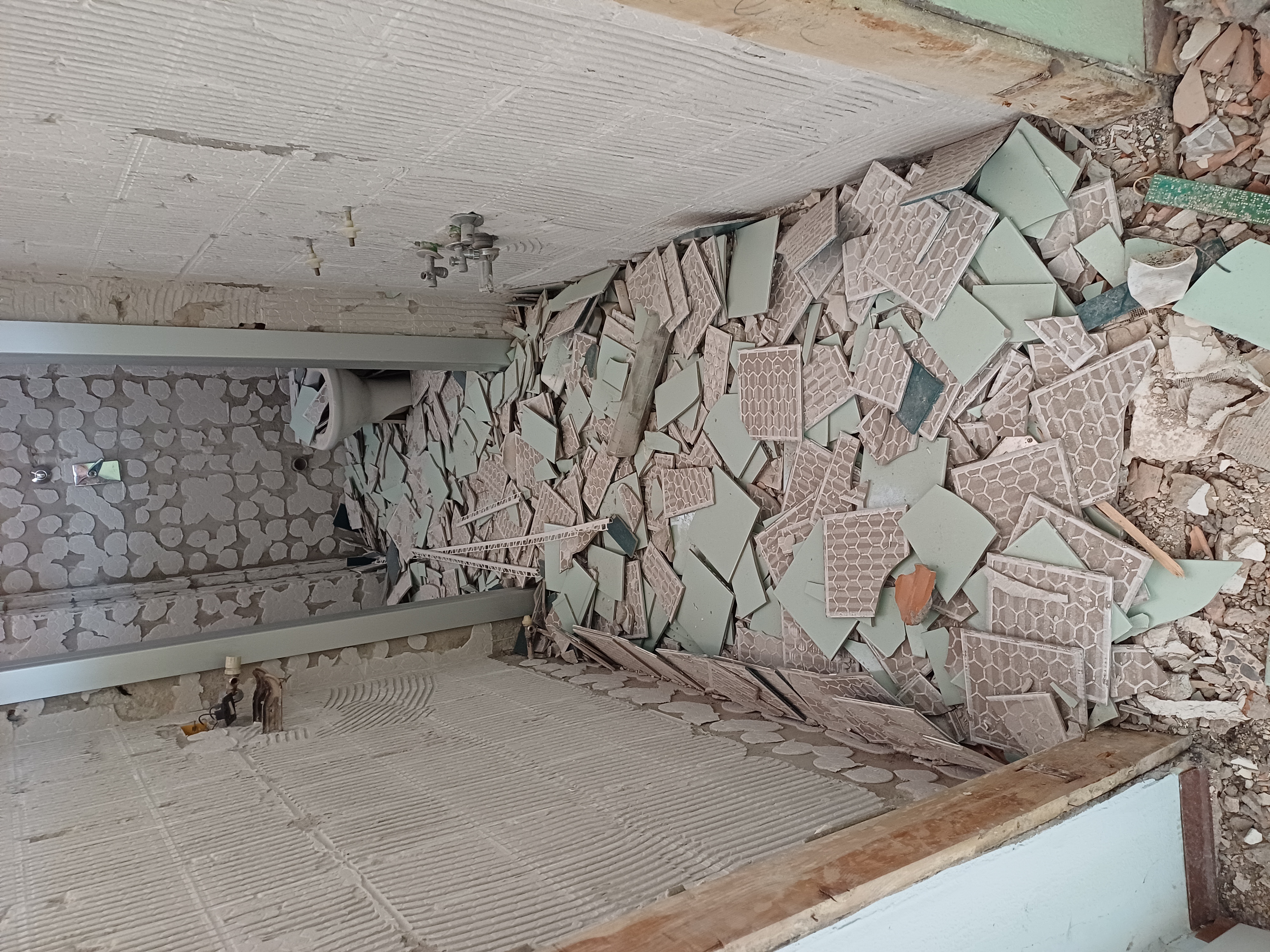 immagine di galleria