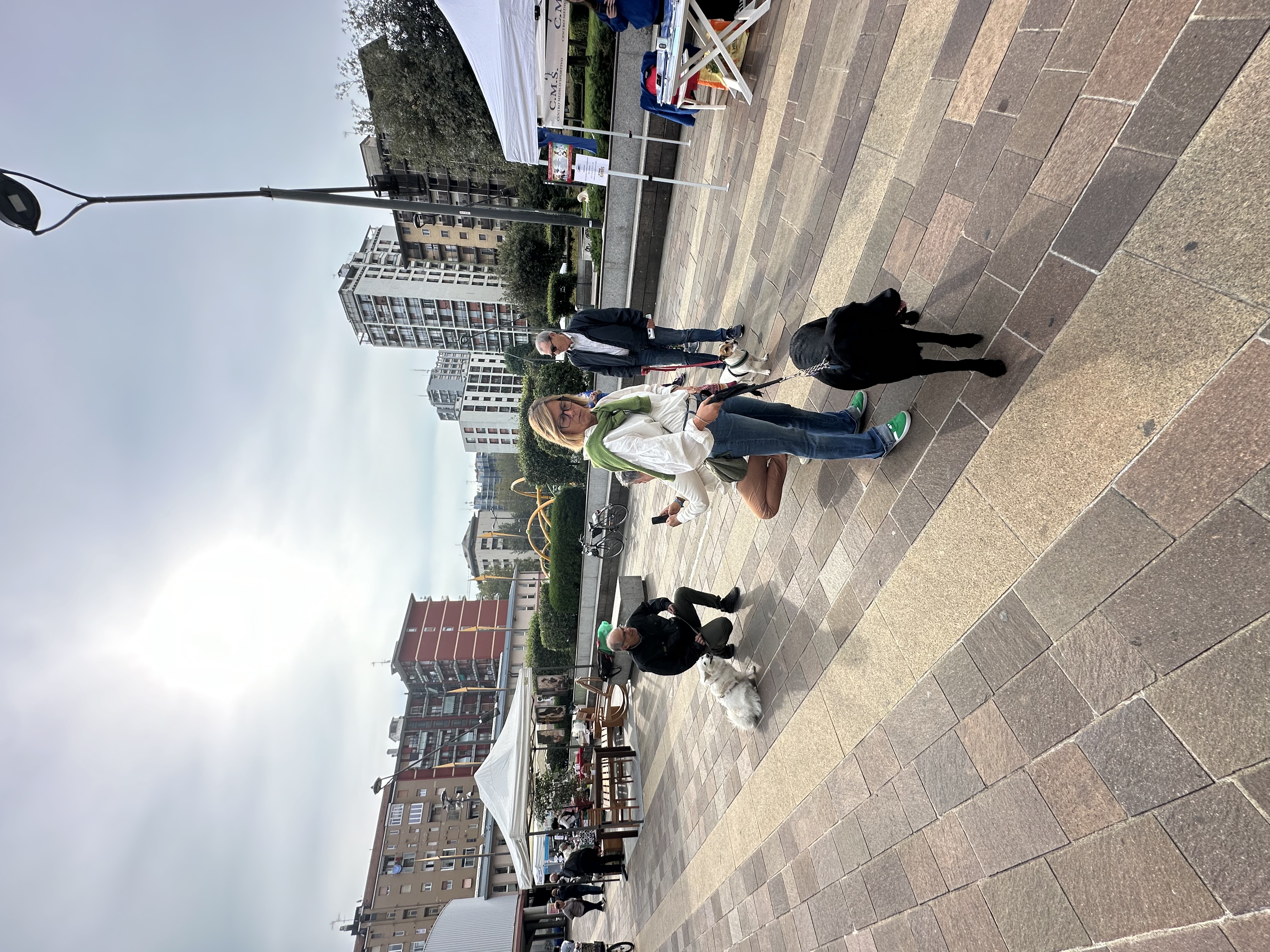 immagine di galleria 'Festa dello Sport, del Volontariato e della Salute 2024'