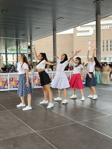 immagine di galleria 'Festa dello Sport, del Volontariato e della Salute 2026'