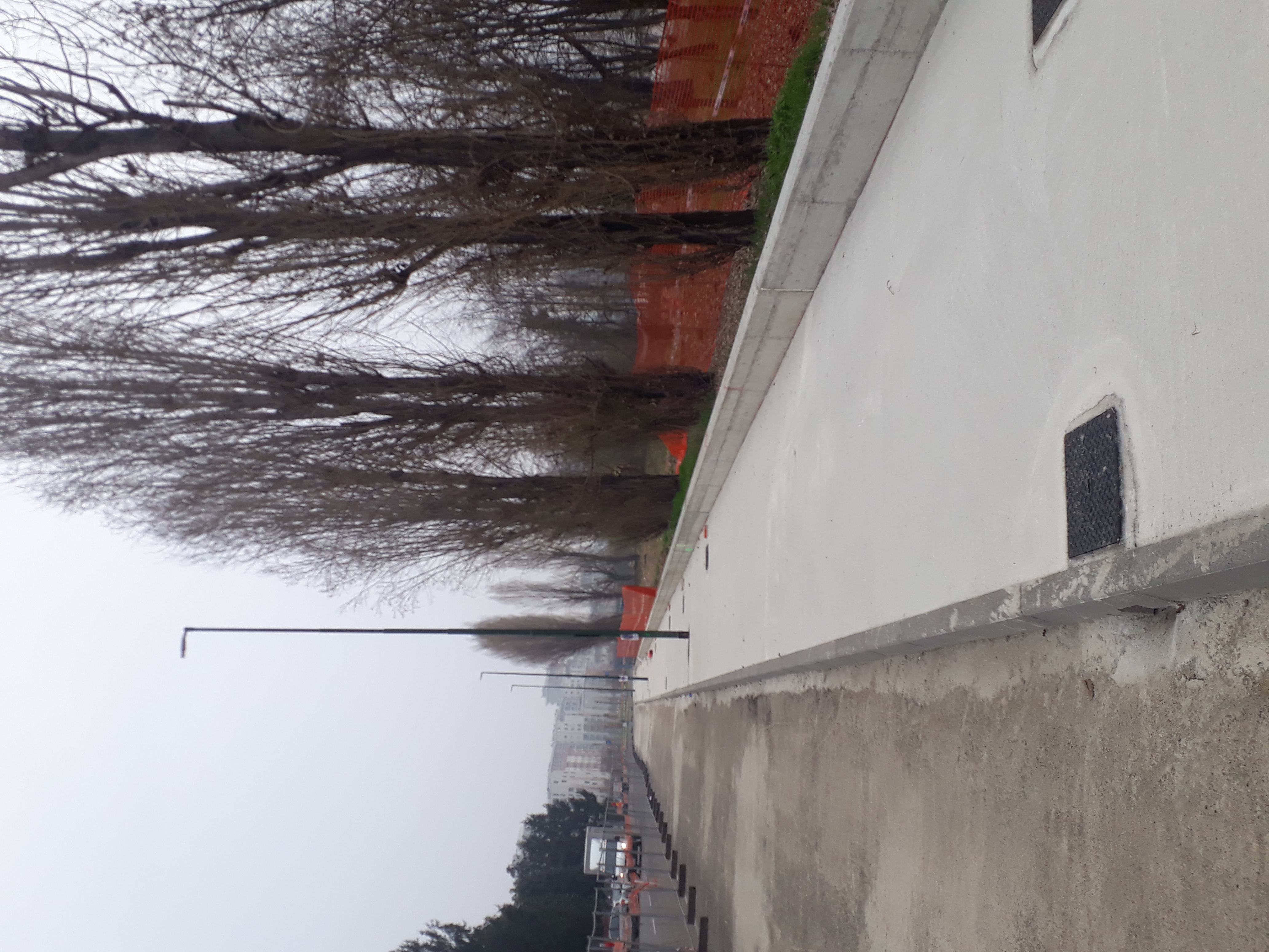 immagine di galleria