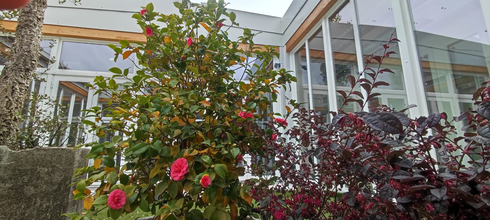 immagine di galleria