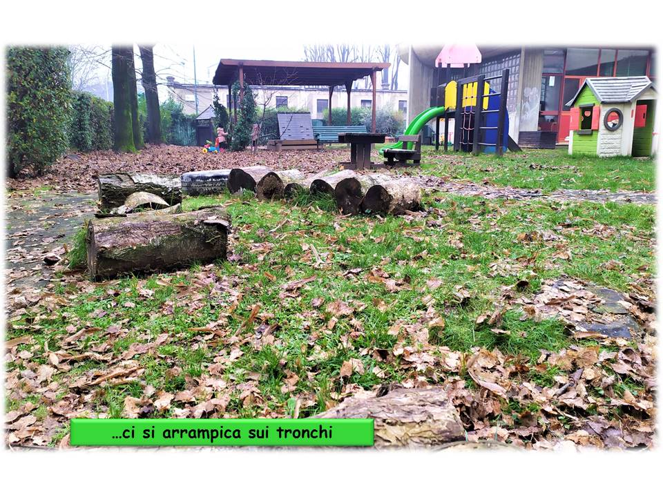 immagine di galleria