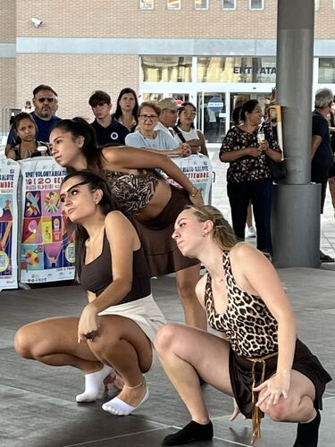 immagine di galleria 'Festa dello Sport, del Volontariato e della Salute 2026'