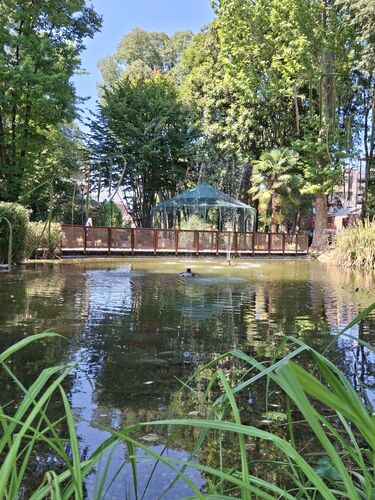 immagine di galleria 'Riqualificazione del giardino di villa Mylius - seconda parte'