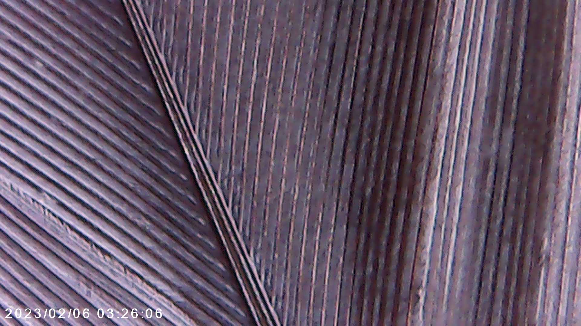 immagine di galleria