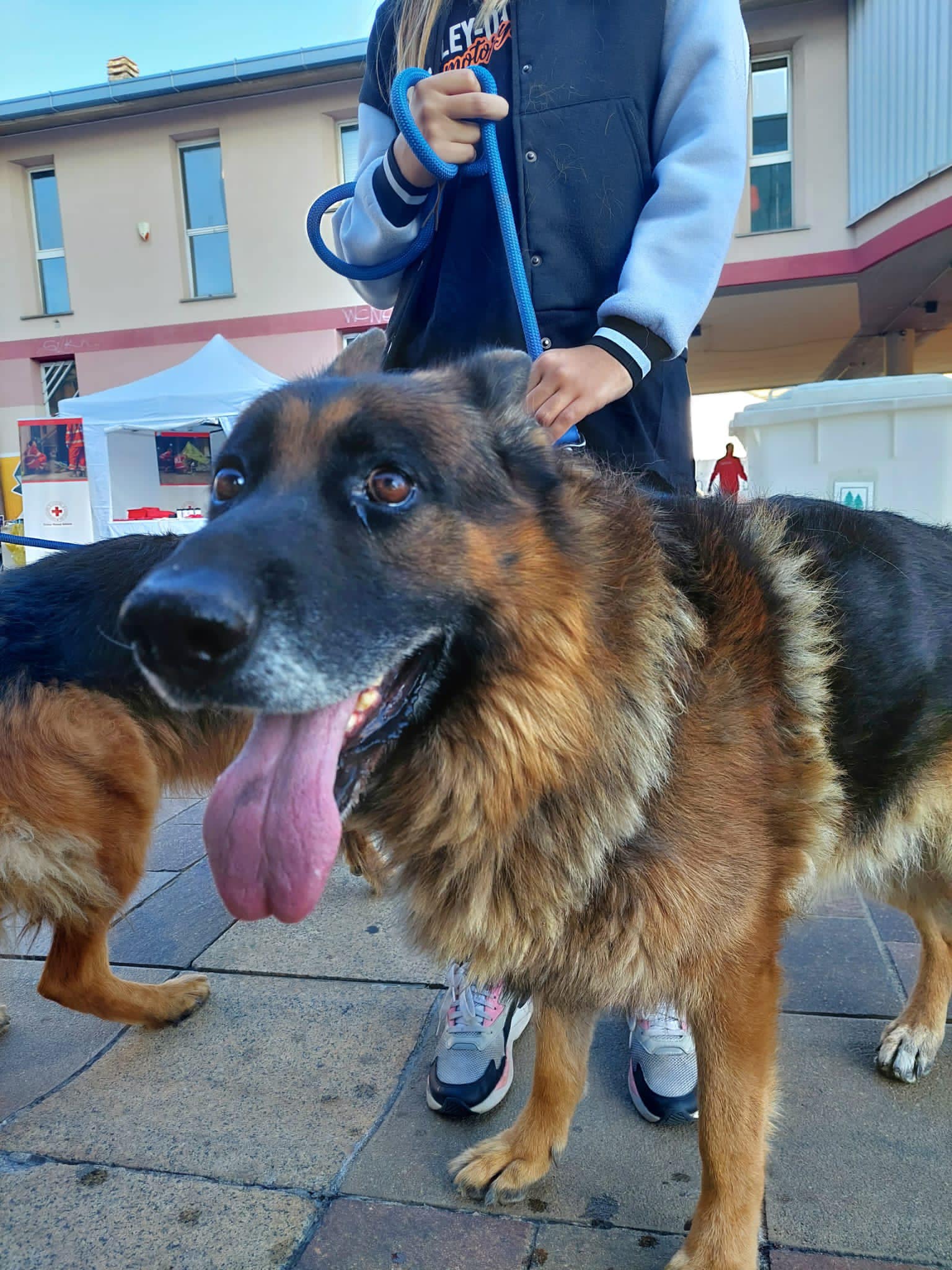 immagine di galleria