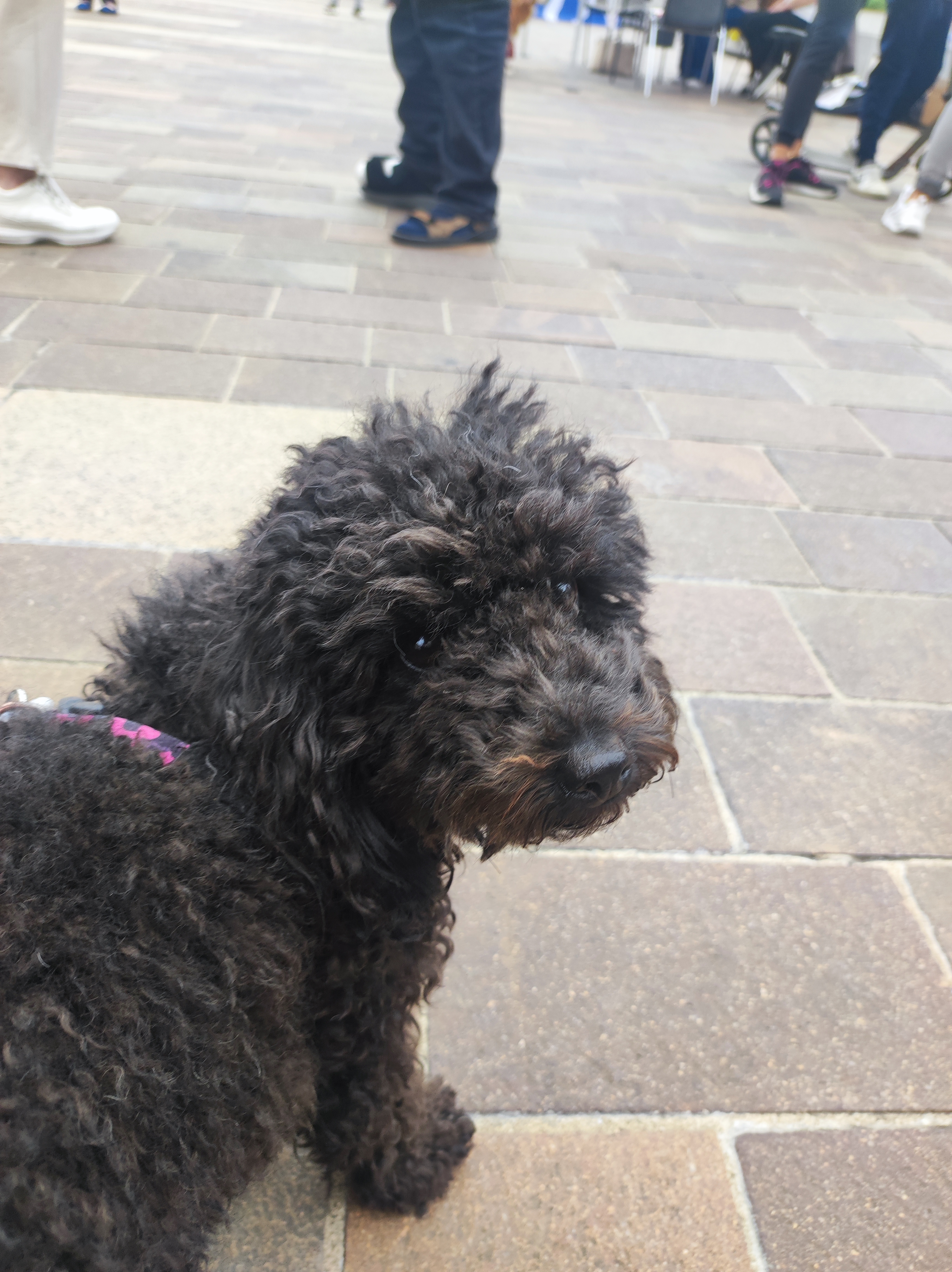 immagine di galleria