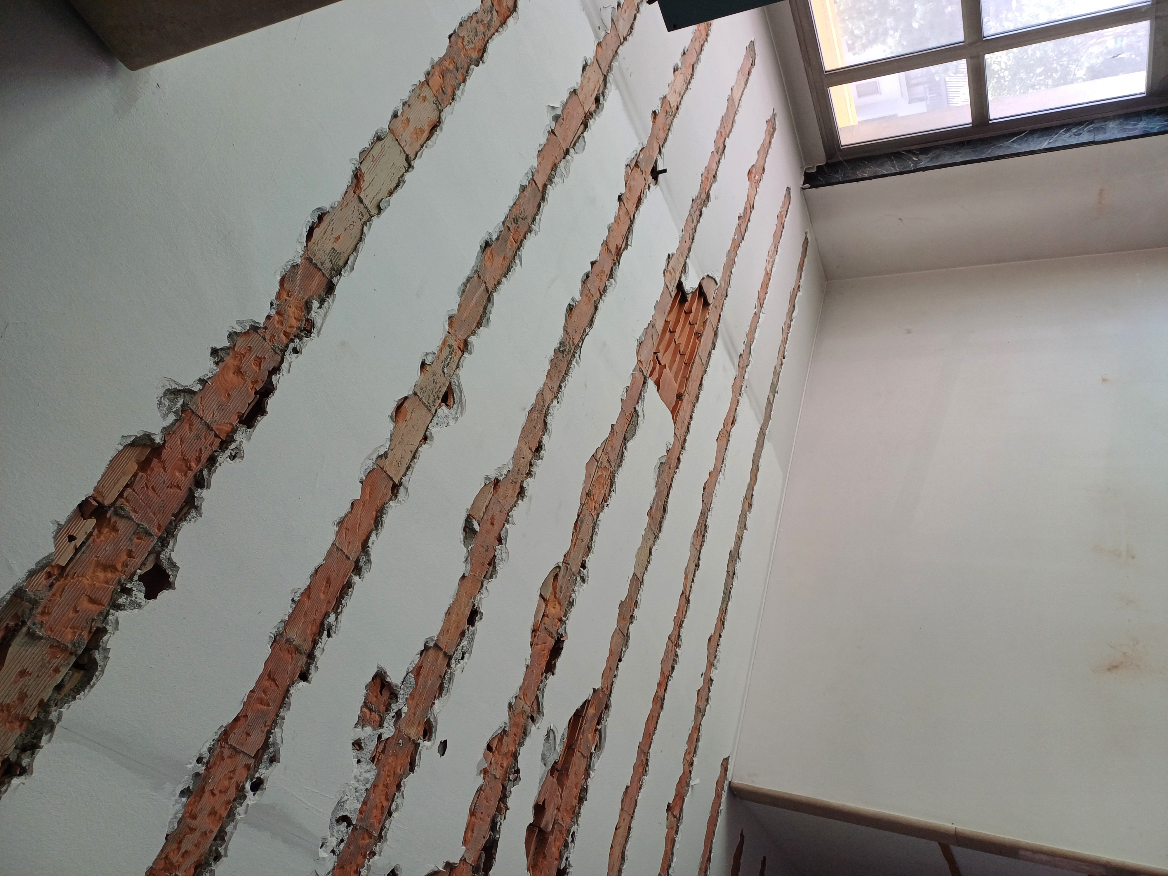 immagine di galleria