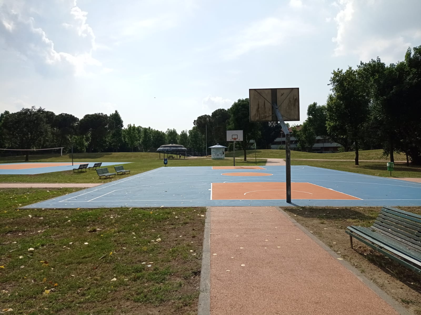 immagine di galleria