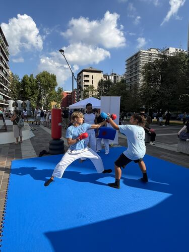 immagine di galleria 'Festa dello Sport, del Volontariato e della Salute 2026'