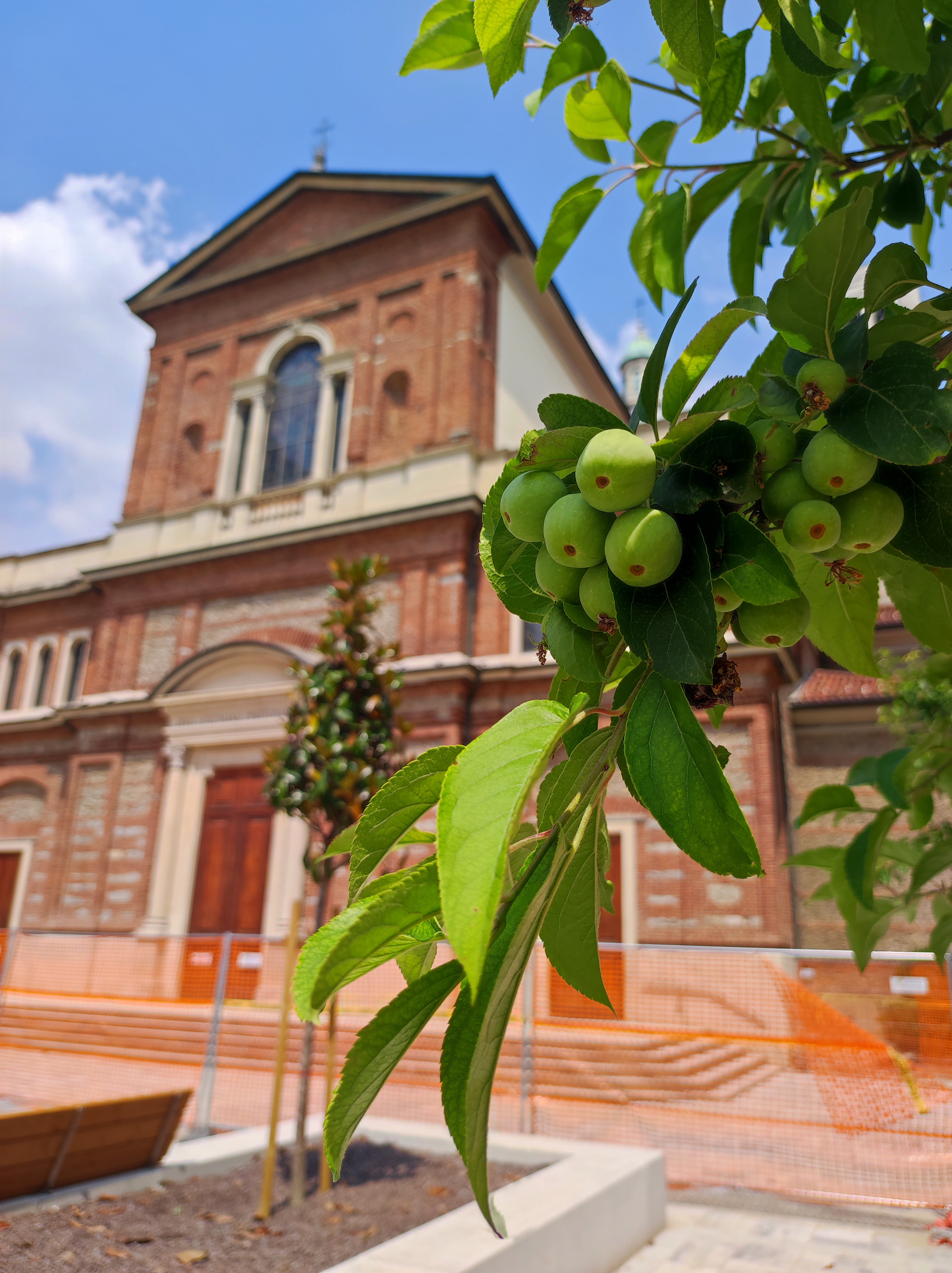immagine di galleria 'Restyling di piazza Petazzi'