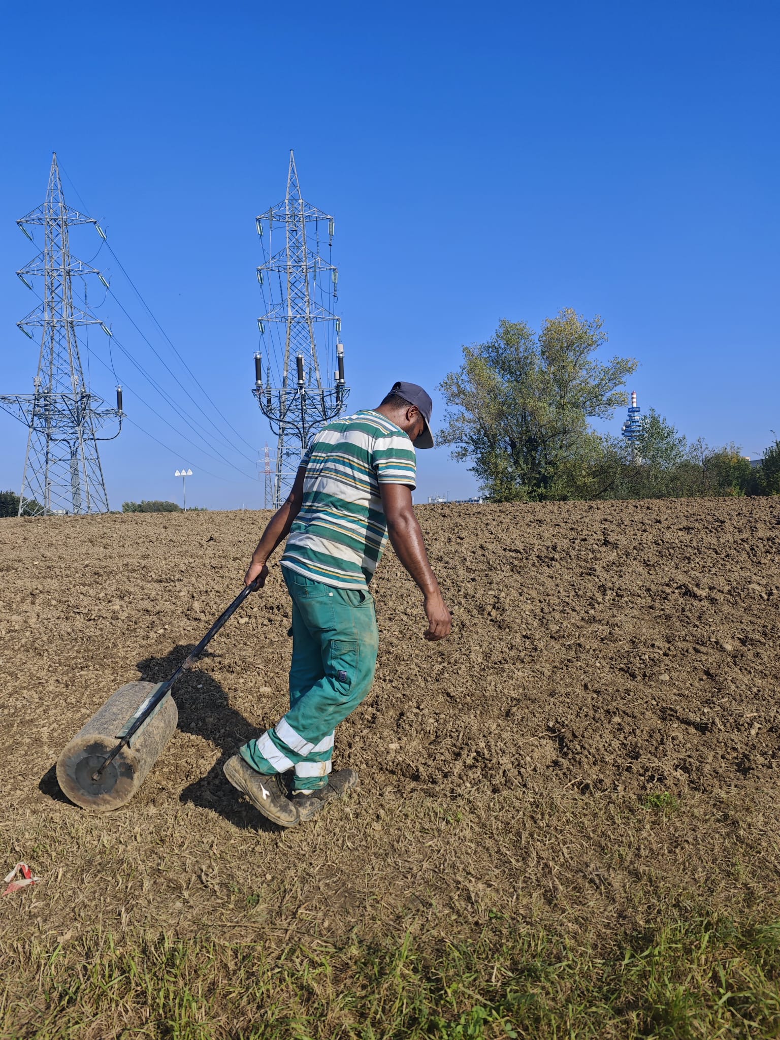 immagine di galleria 'Prato fiorito alla Bergamella'