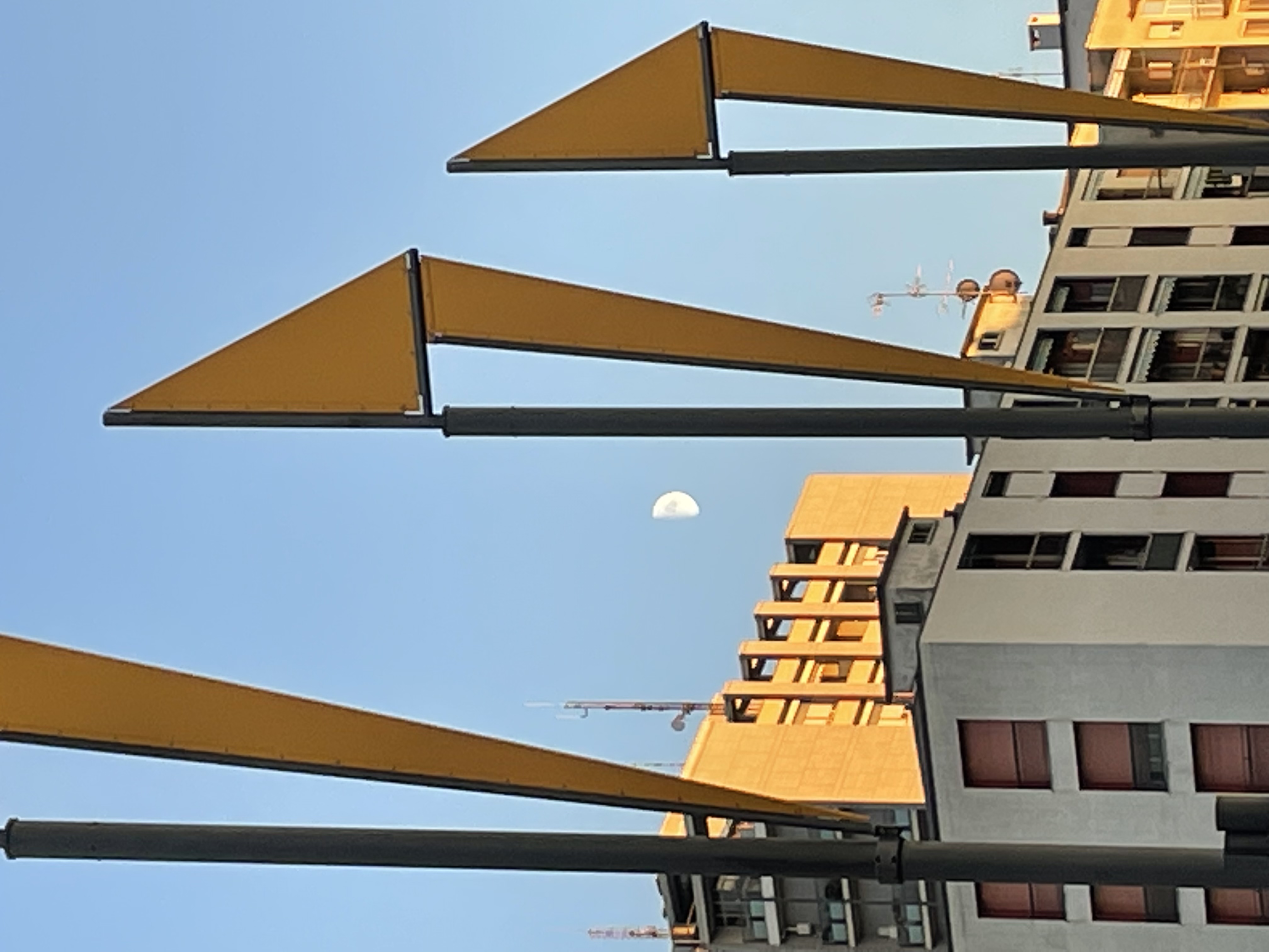 immagine di galleria 'Festa dello Sport, del Volontariato e della Salute 2023'