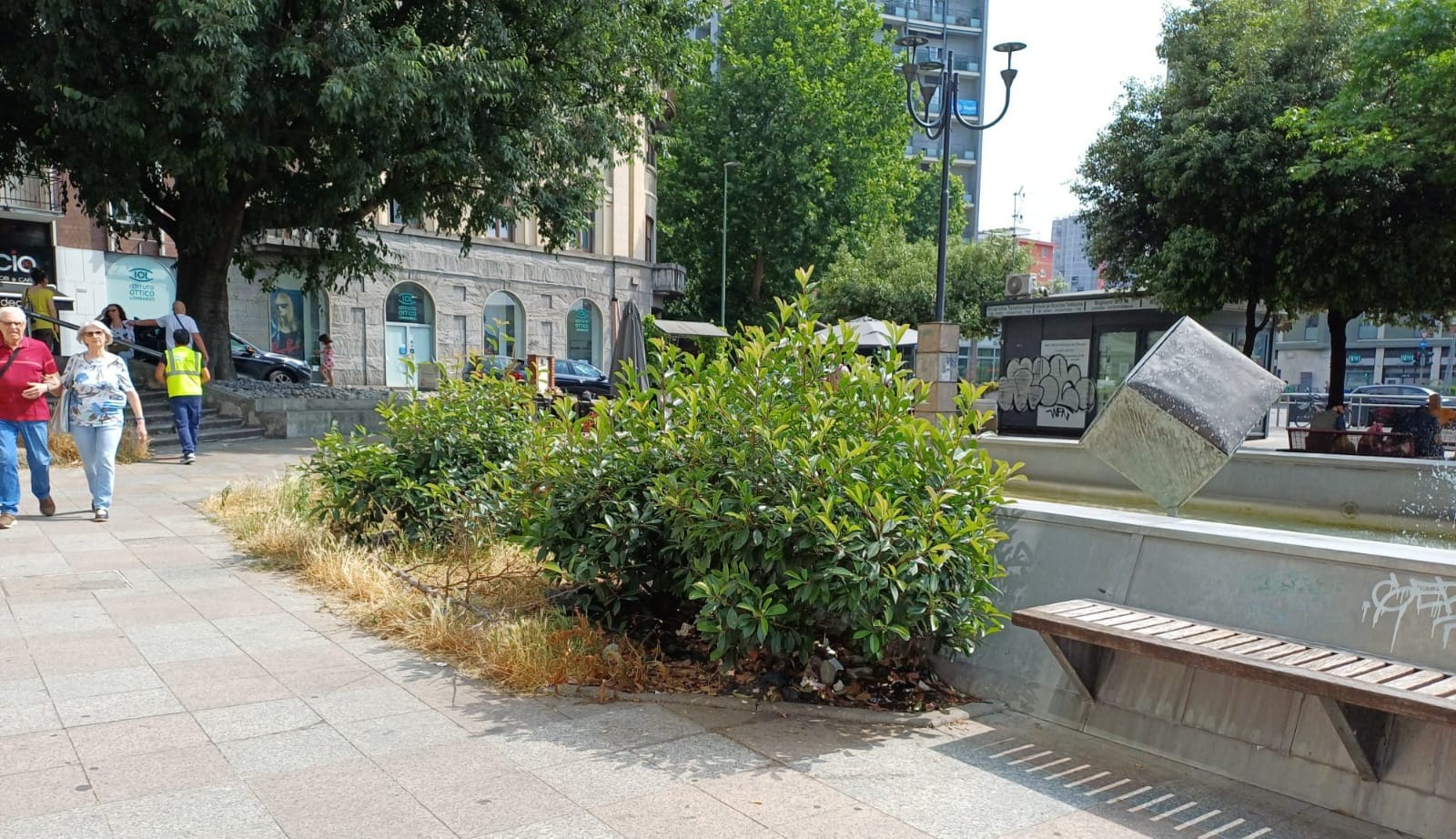 immagine di galleria