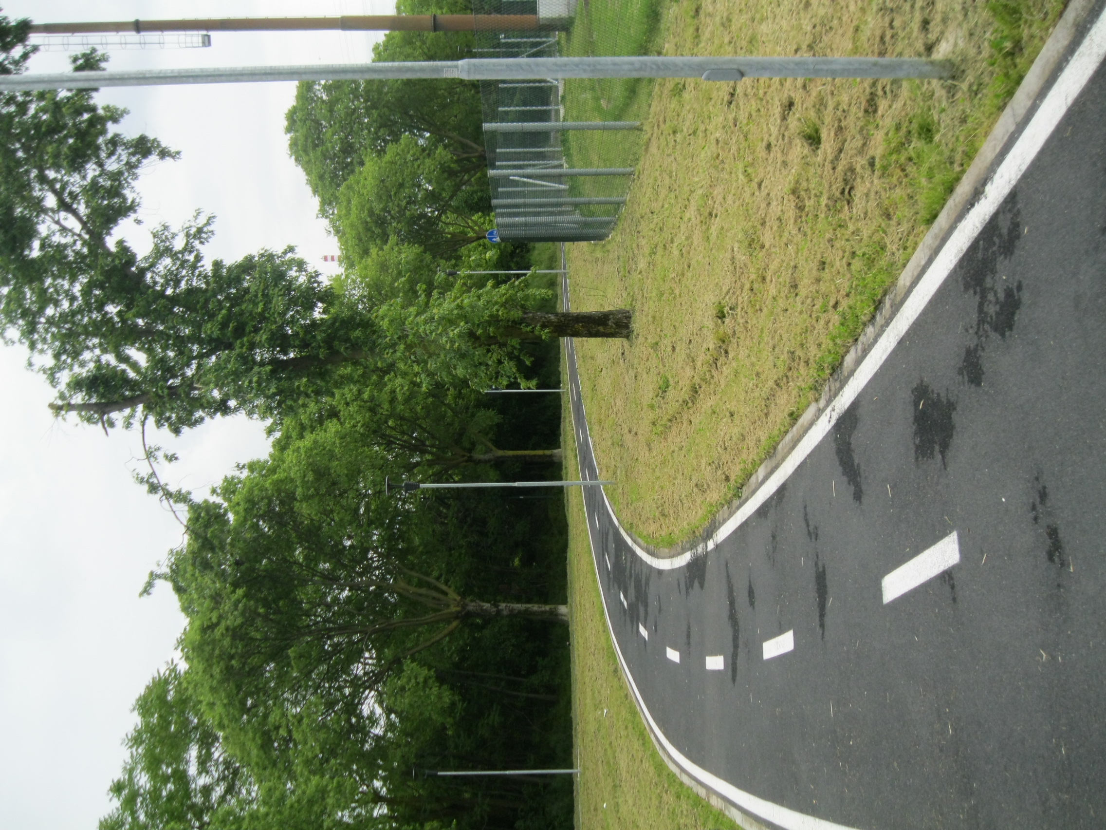 immagine di galleria 'Bicipolitana: la rete ciclabile in Città'