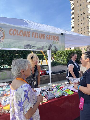 immagine di galleria 'Festa dello Sport, del Volontariato e della Salute 2026'