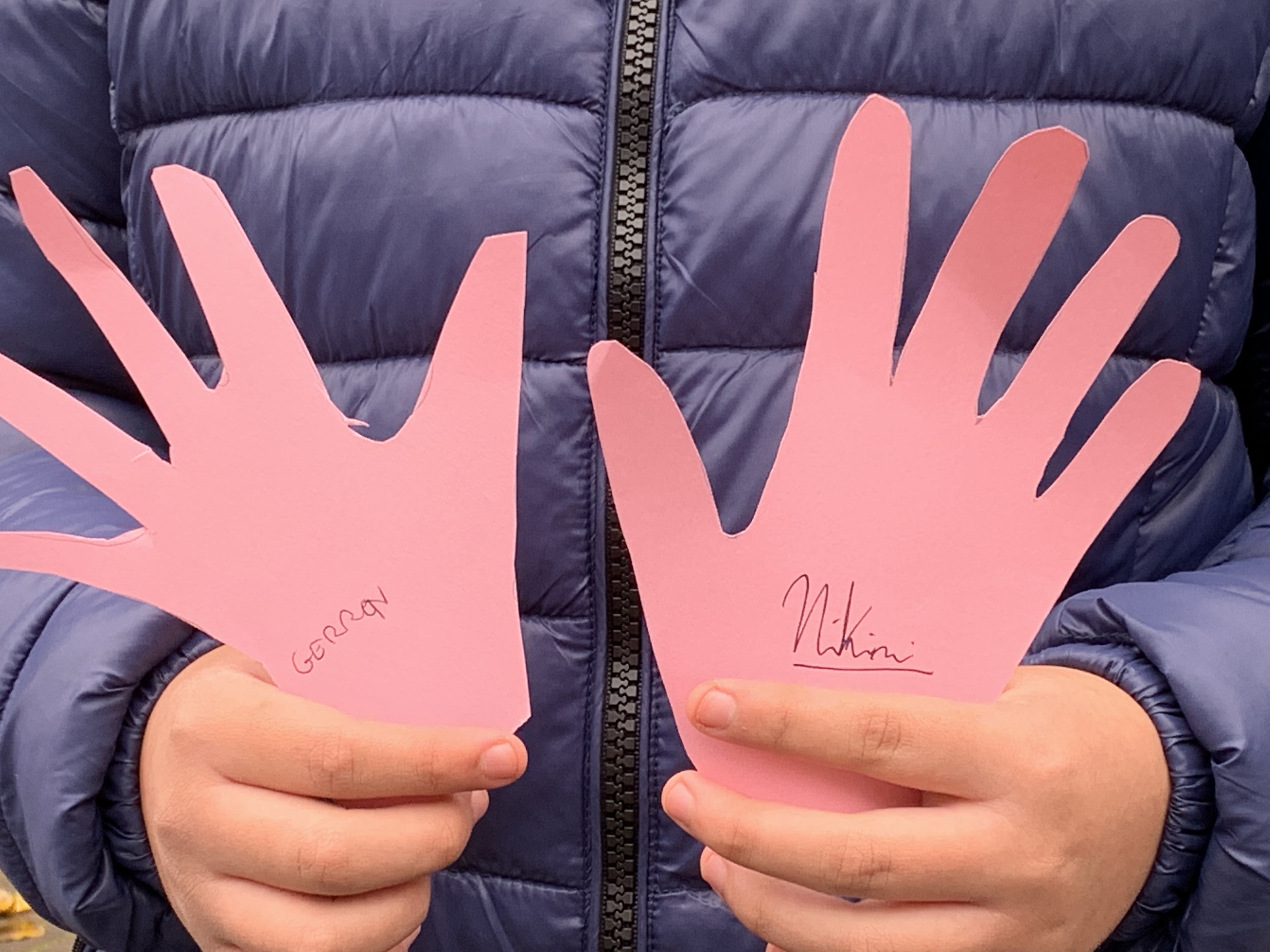 immagine di galleria