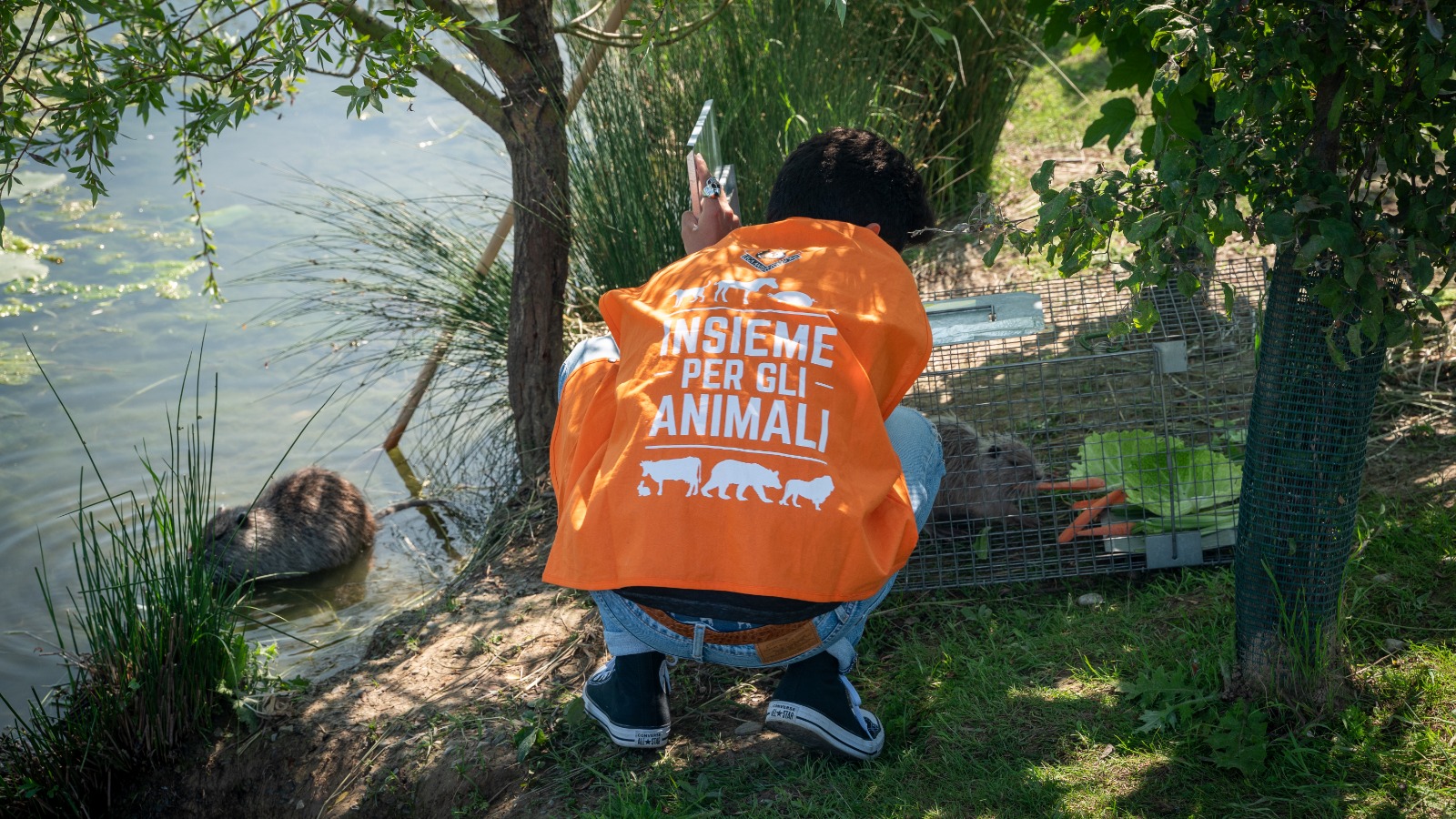 immagine di galleria 'Un progetto per fermare la riproduzione incontrollata delle nutrie'