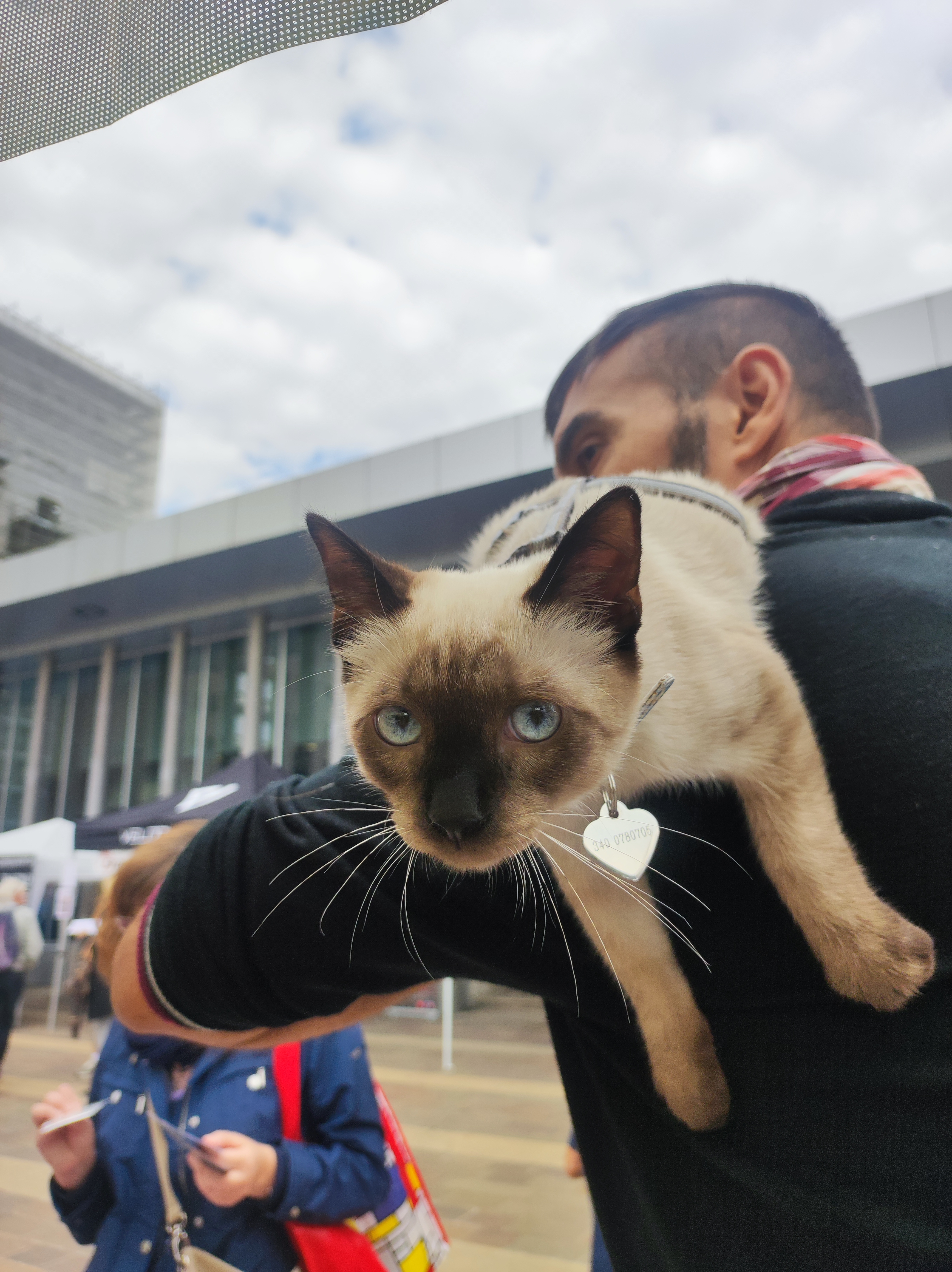 immagine di galleria