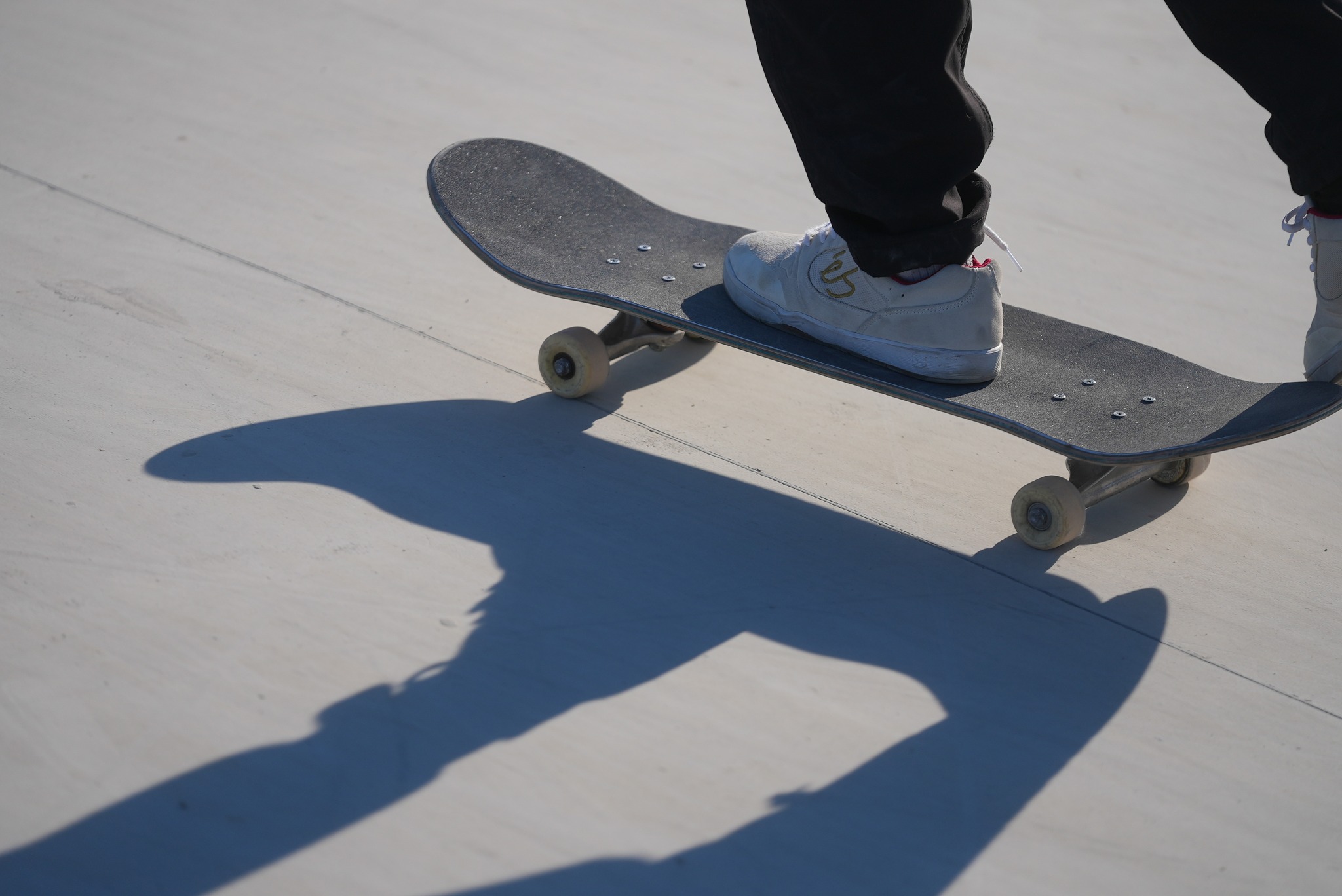 immagine di galleria