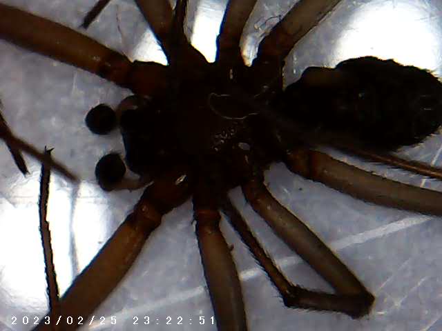 immagine di galleria