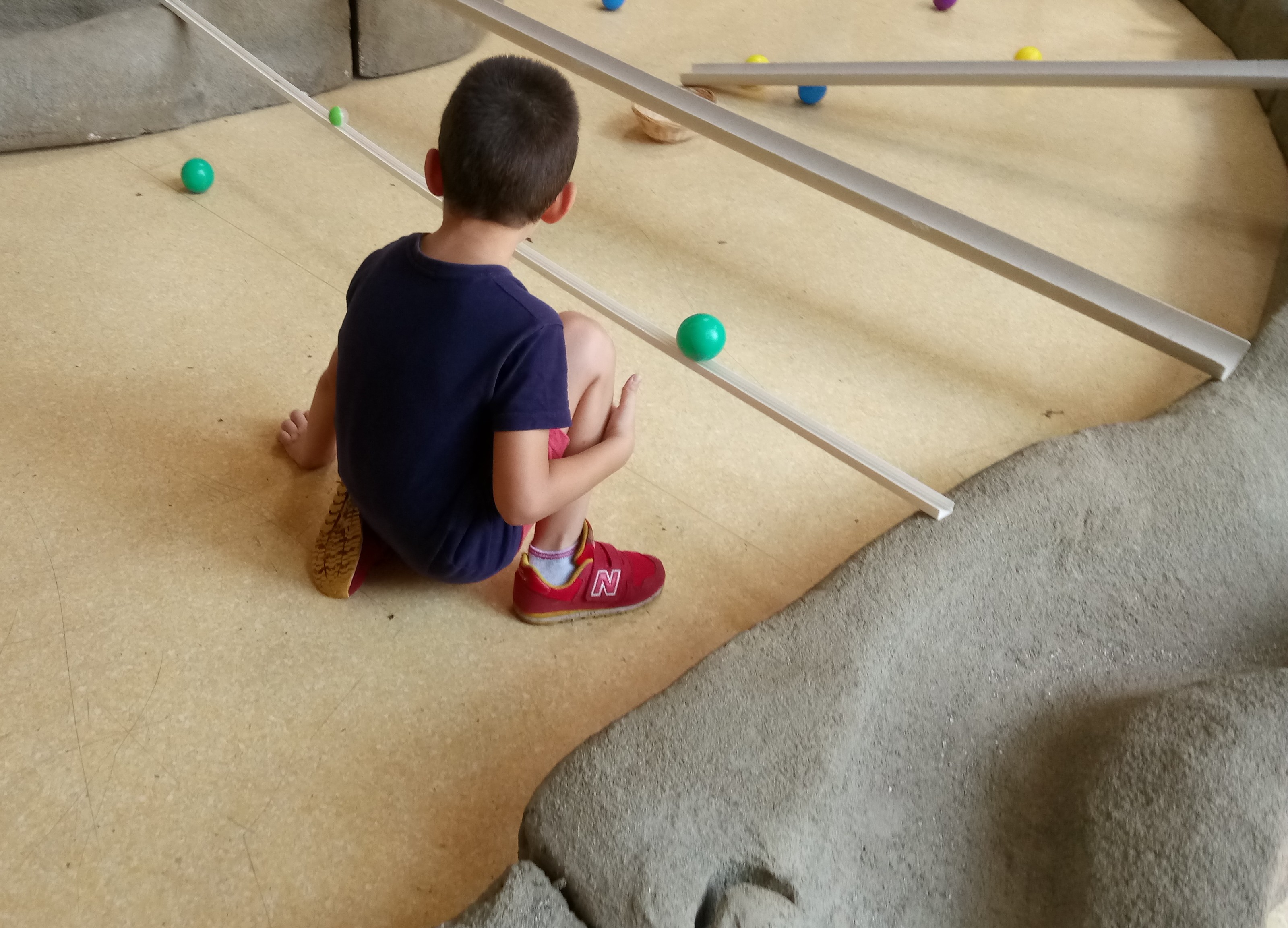 immagine di galleria 'C4S Communities for Sciences: le foto'