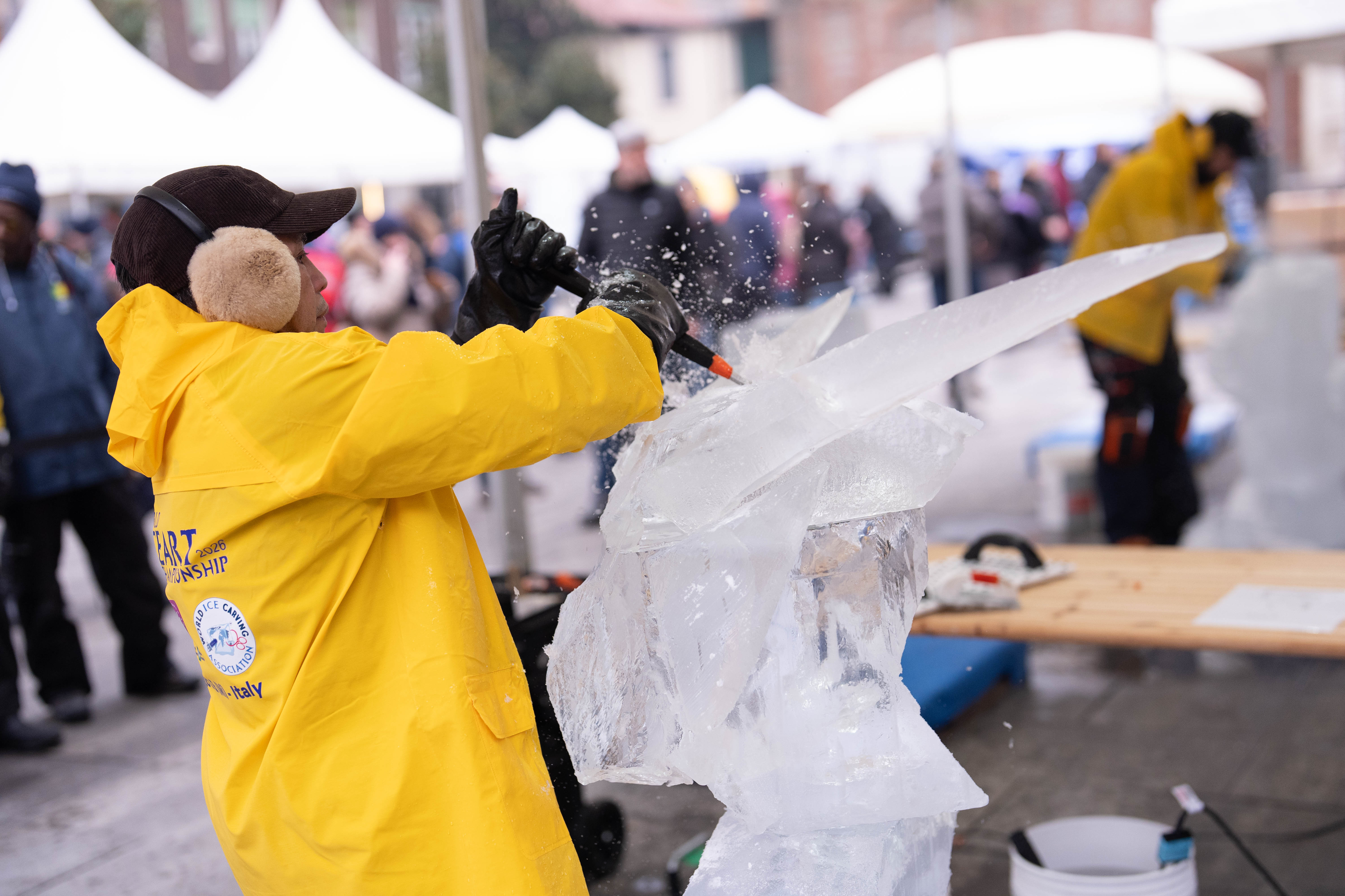 immagine di galleria