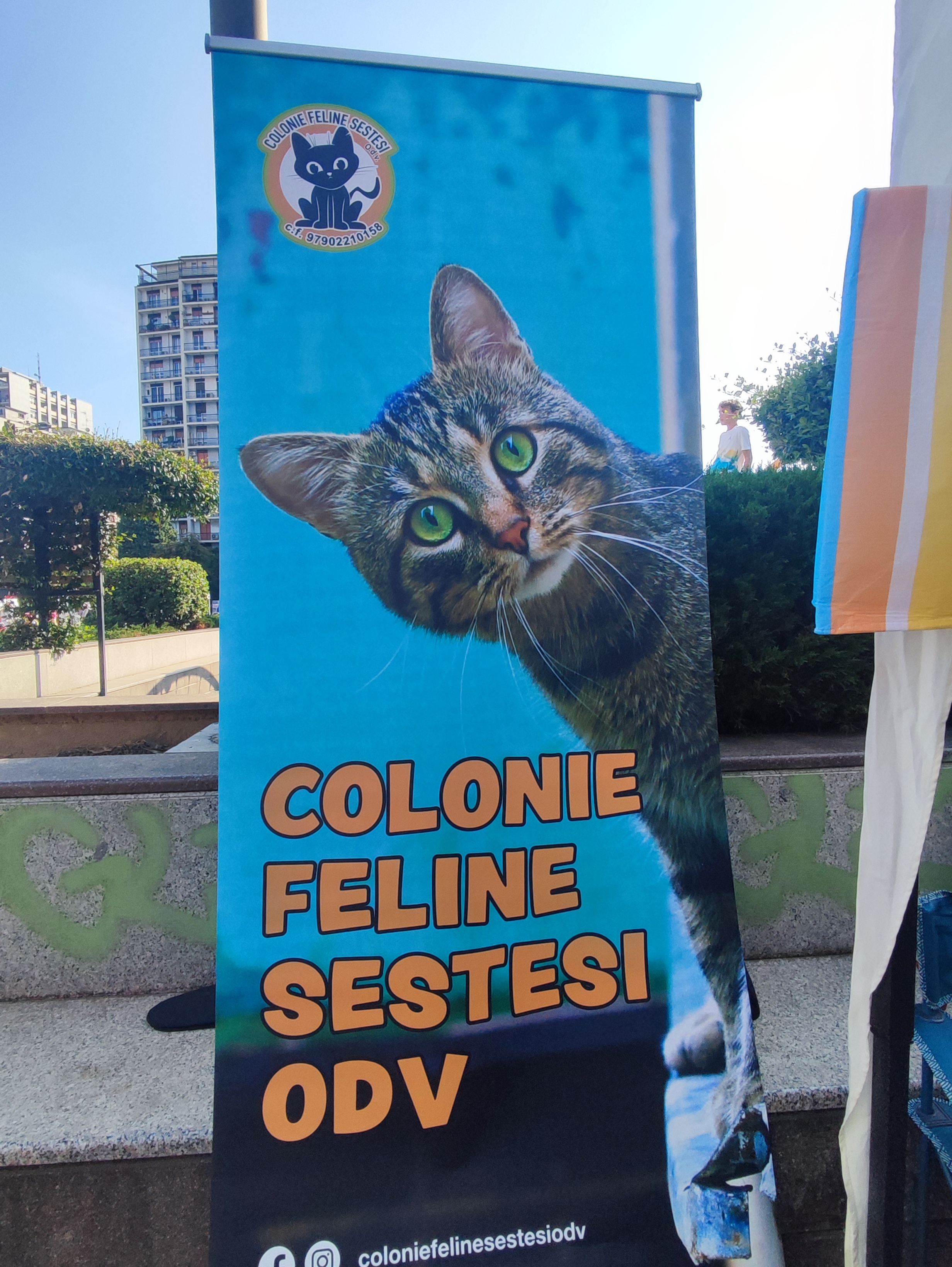 immagine di galleria 'Festa dello Sport, del Volontariato e della Salute 2024'