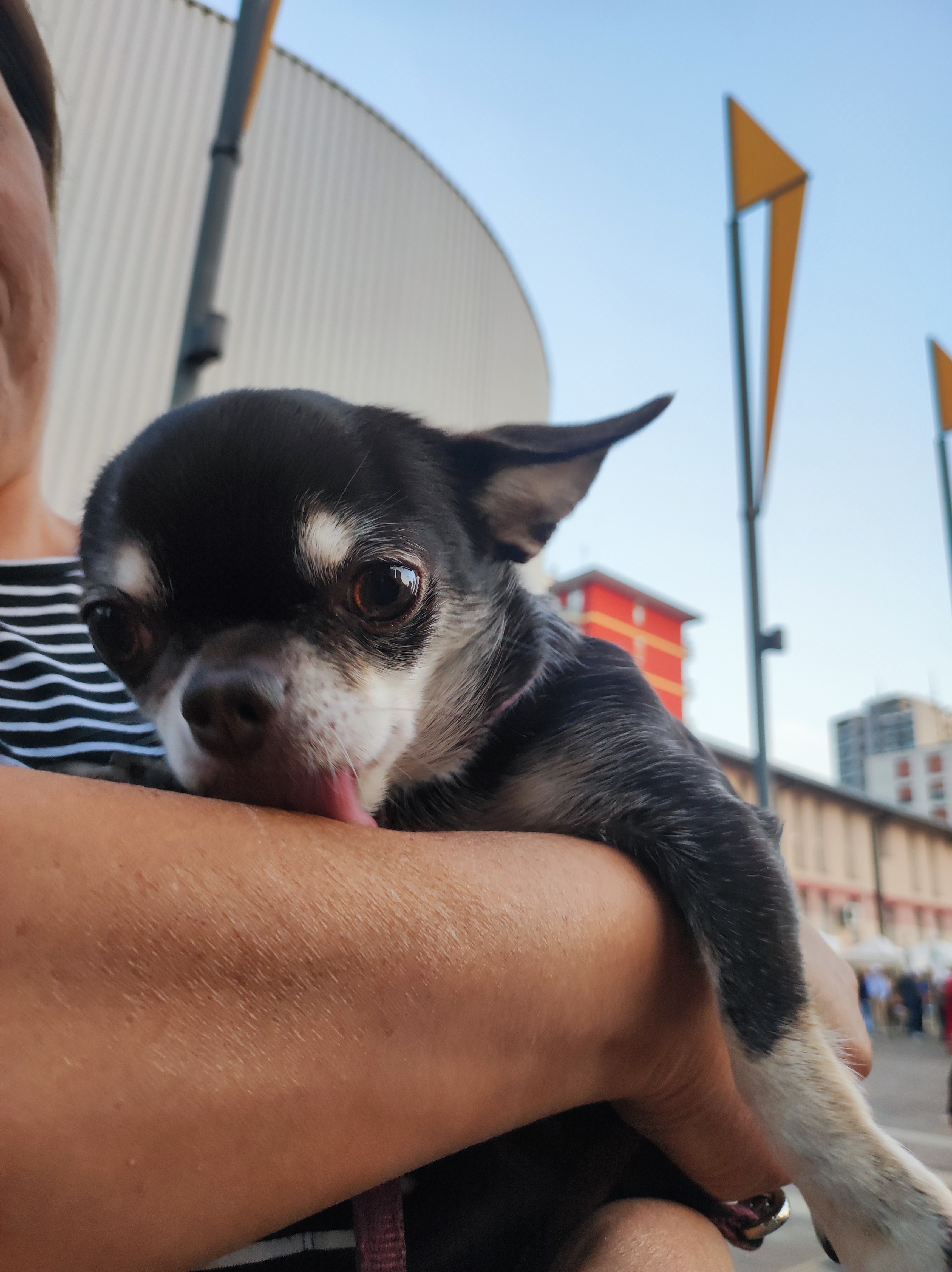 immagine di galleria